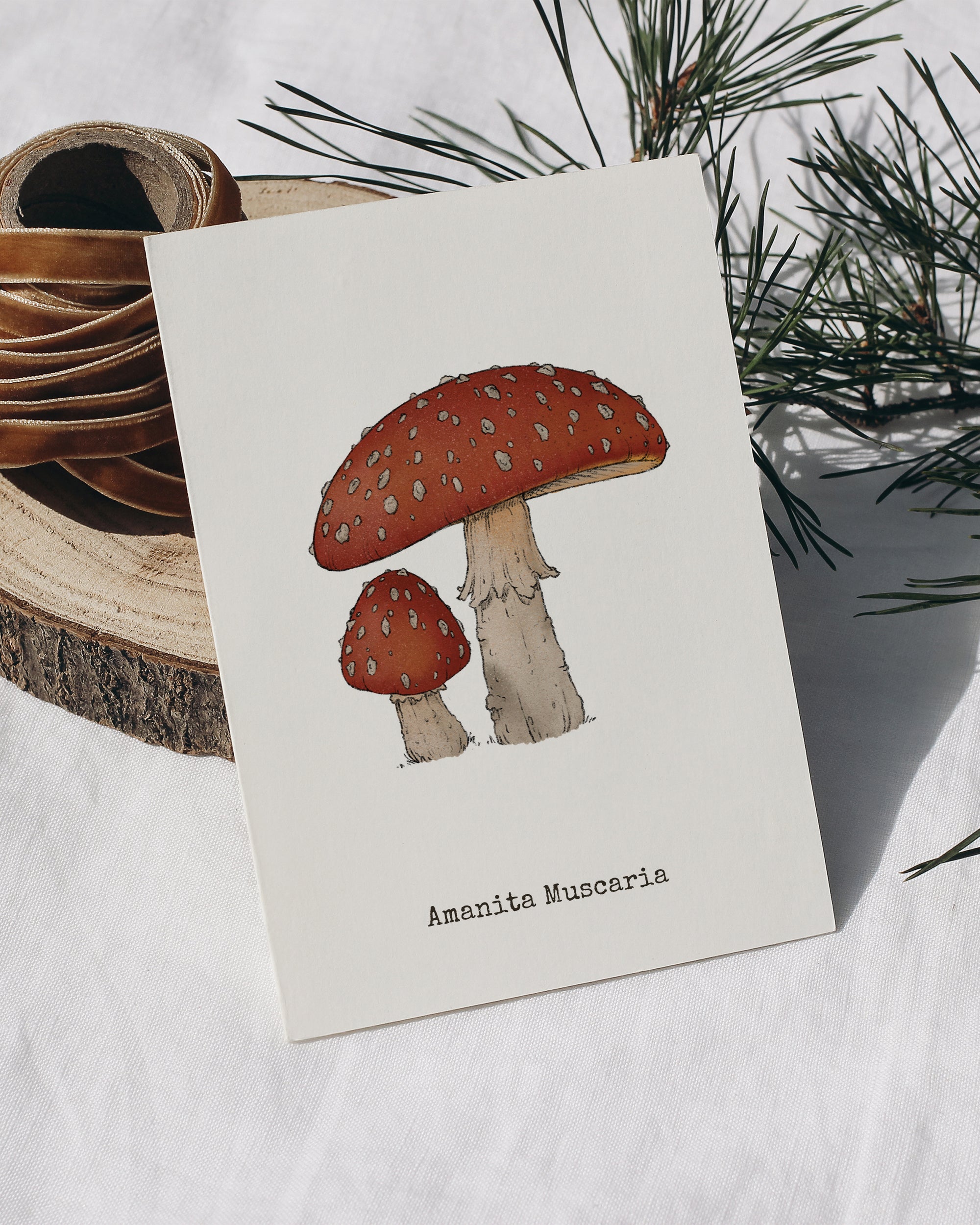 "Amanita Muscaria" by Catherine Hébert - Amanita Muscaria Mushroom  - Botanical Art Print