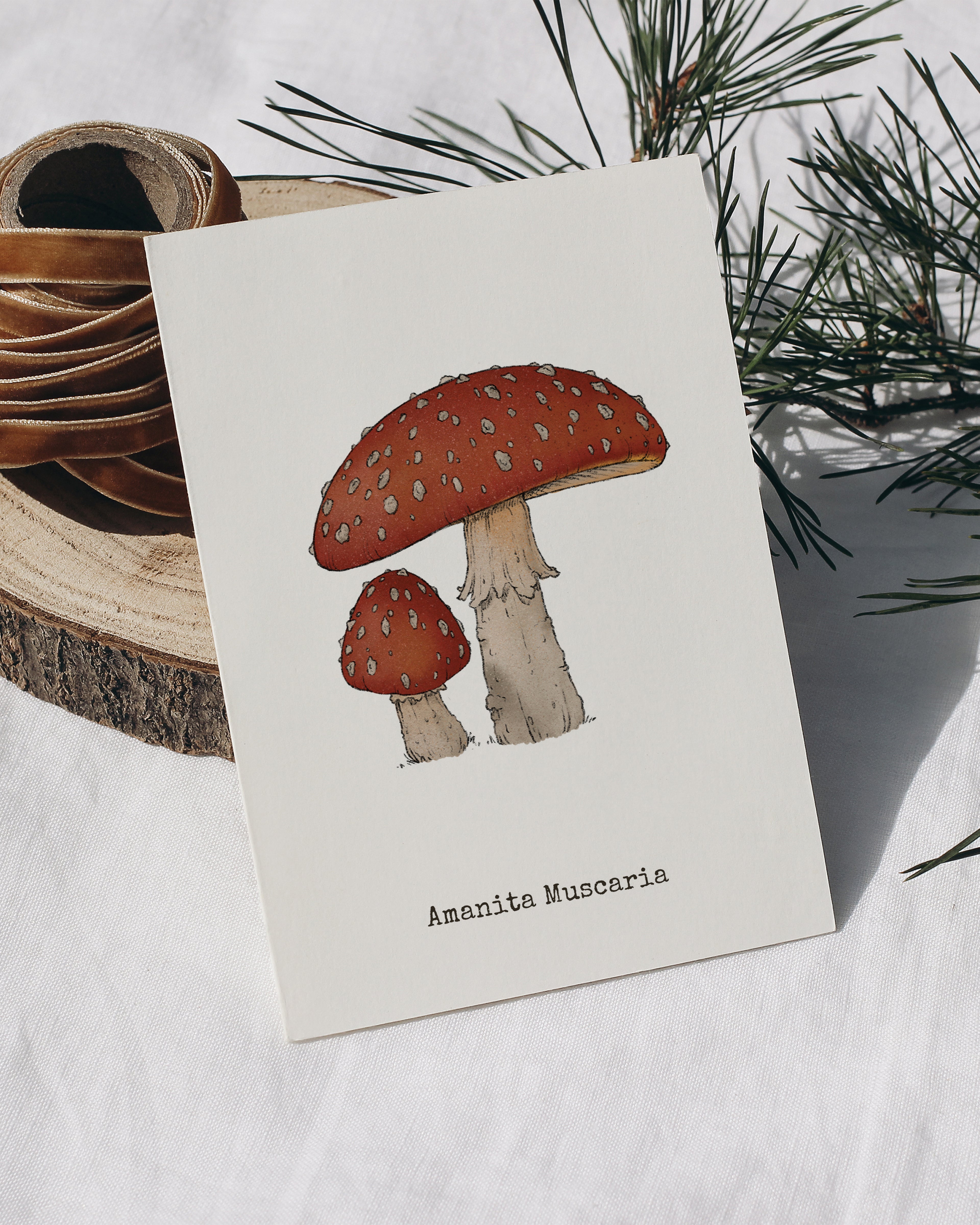 "Amanita Muscaria" by Catherine Hébert - Amanita Muscaria Mushroom  - Botanical Art Print – Floral, Nature Wall Art – Living Room, Kitchen Decor