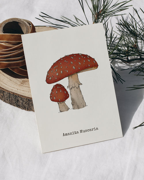 "Amanita Muscaria" by Catherine Hébert - Amanita Muscaria Mushroom  - Botanical Art Print