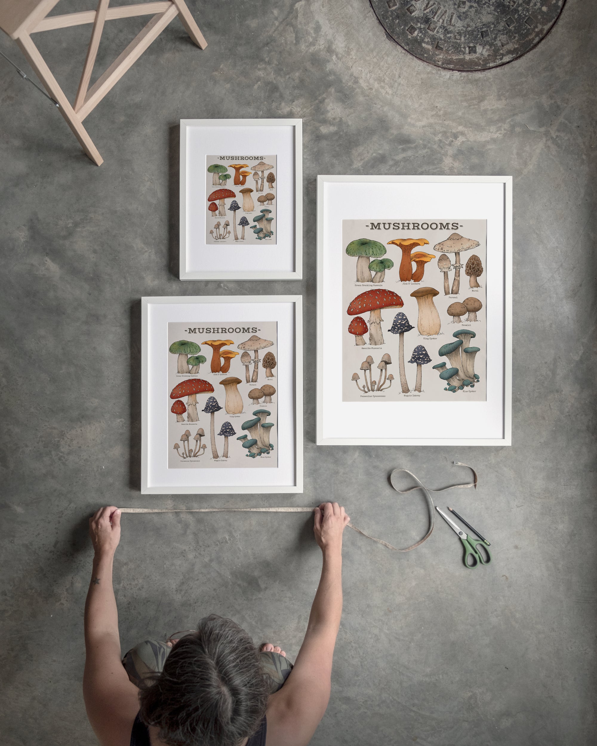 "Woodland Mushrooms" by Catherine Hébert - Woodland Mushroom Chart - Botanical Art Print