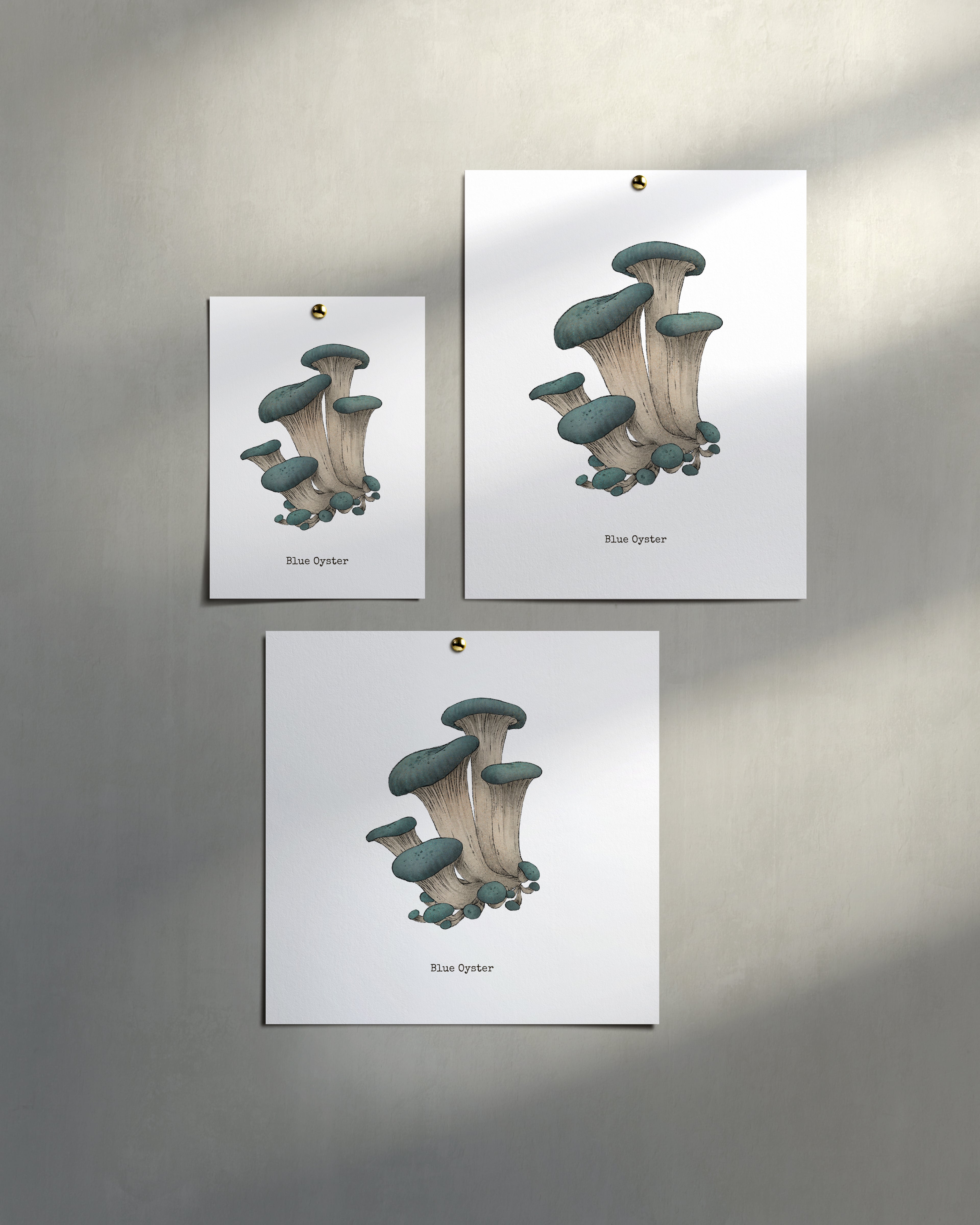 "Blue Oyster Mushroom" by Catherine Hébert - Blue Oyster Mushroom  - Botanical Art Print – Floral, Nature Wall Art – Living Room, Kitchen Decor