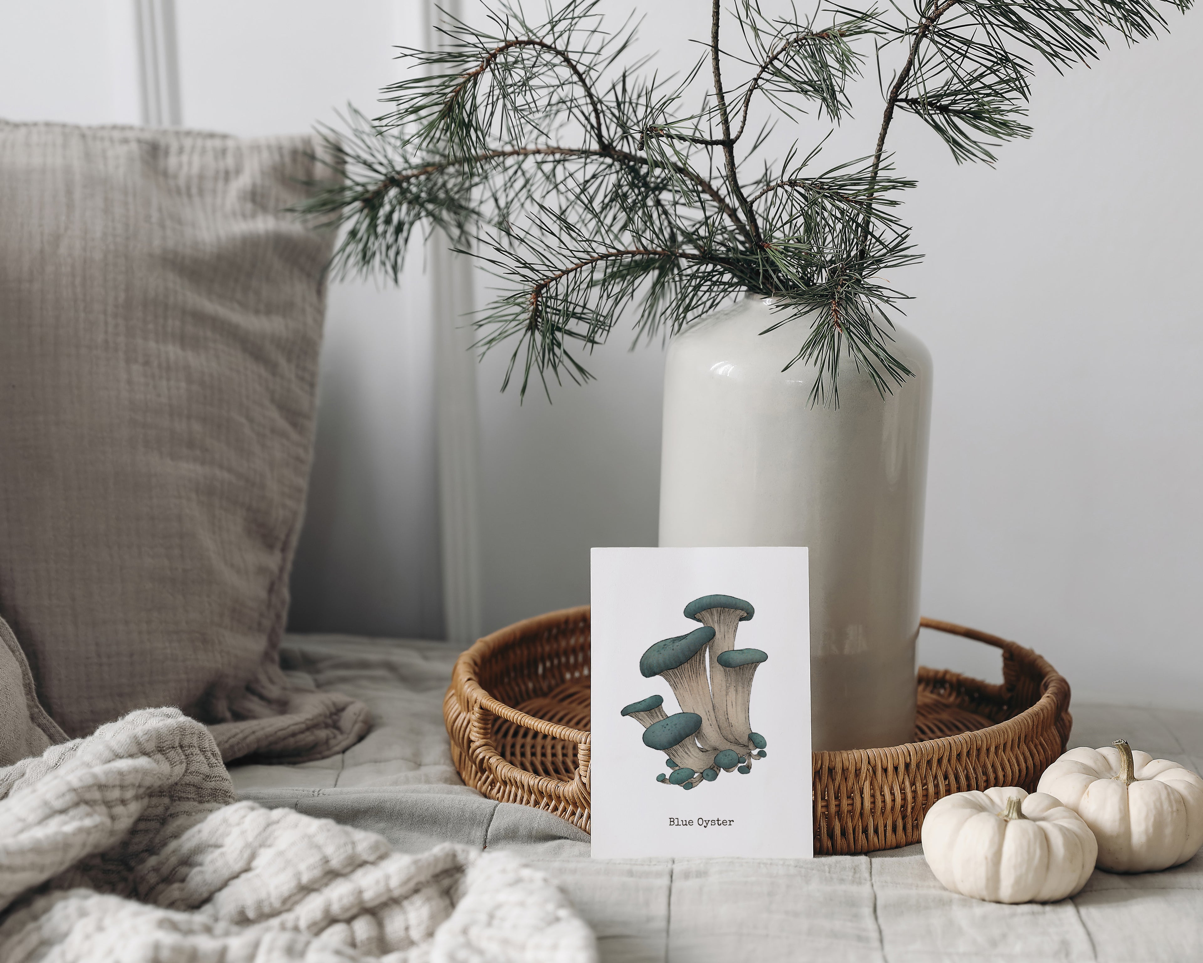 "Blue Oyster Mushroom" by Catherine Hébert - Blue Oyster Mushroom  - Botanical Art Print – Floral, Nature Wall Art – Living Room, Kitchen Decor