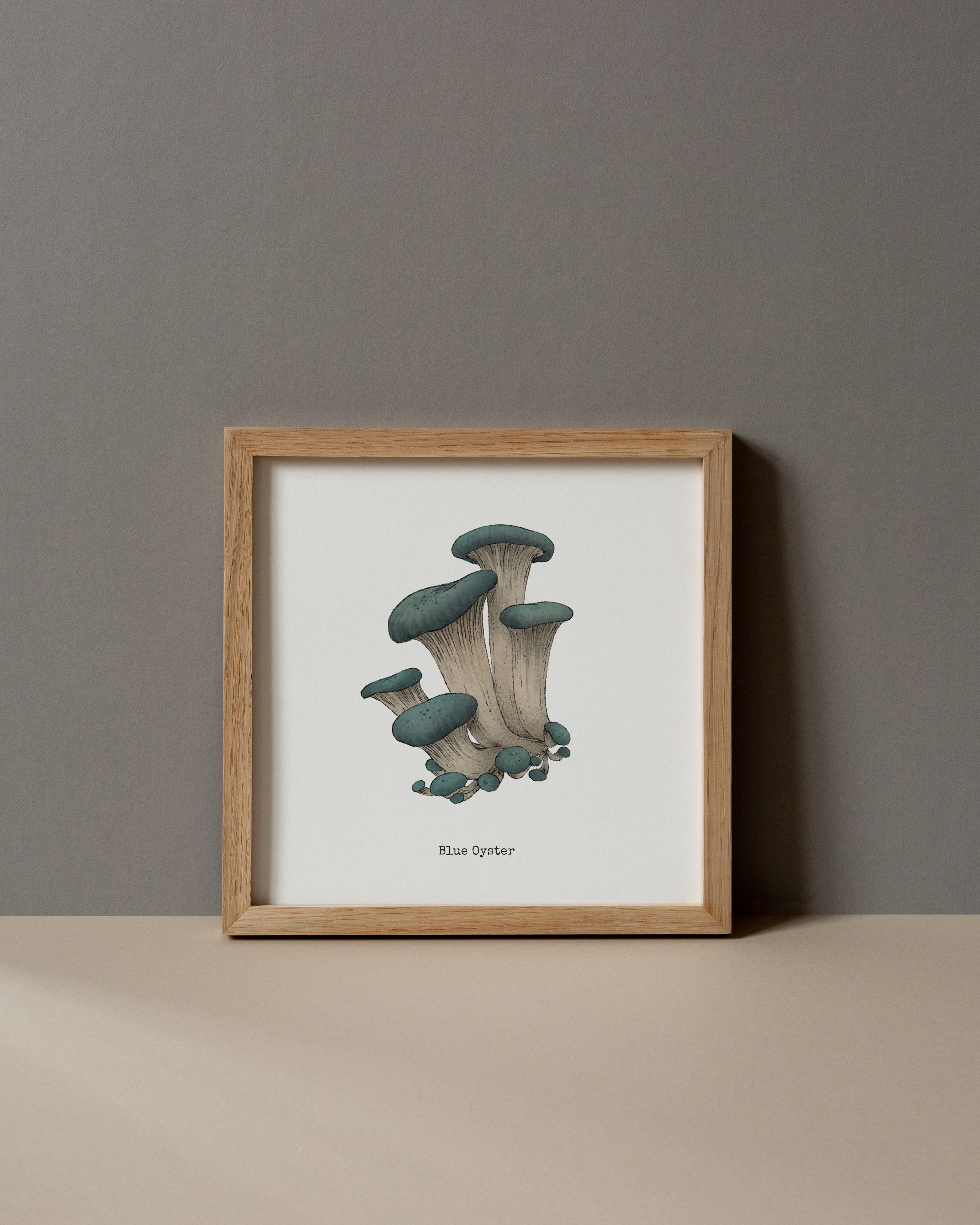 "Blue Oyster Mushroom" by Catherine Hébert - Blue Oyster Mushroom  - Botanical Art Print – Floral, Nature Wall Art – Living Room, Kitchen Decor