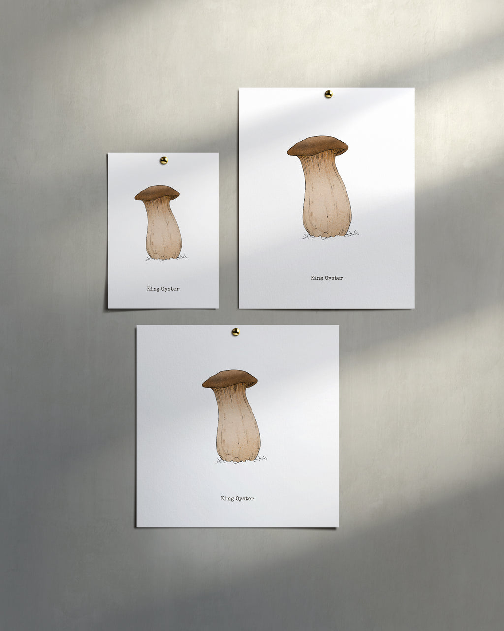 "King Oyster" by Catherine Hébert - King Oyster Mushroom - Botanical Art Print