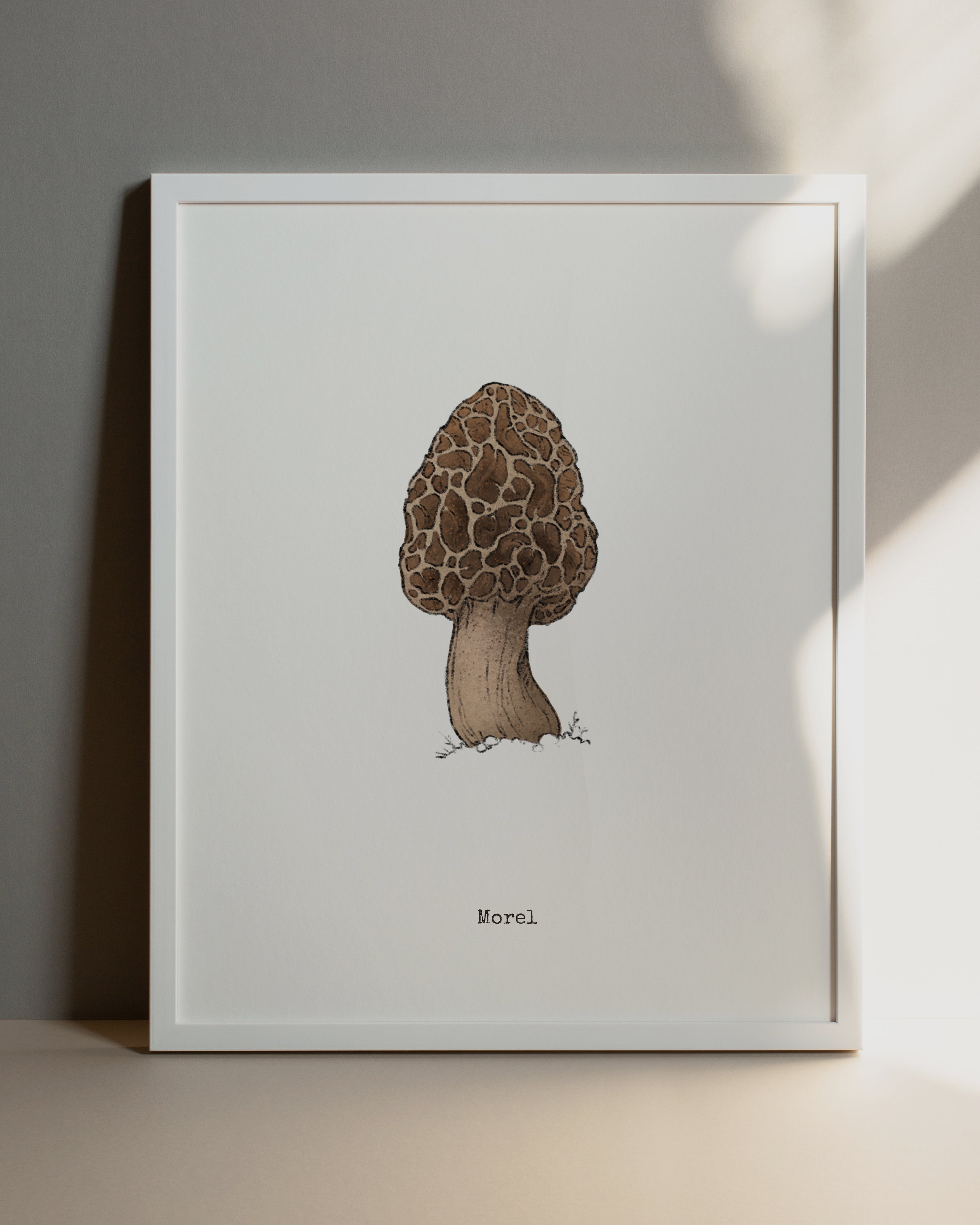 "Morel Mushroom" by Catherine Hébert - Morel Mushroom Art Print