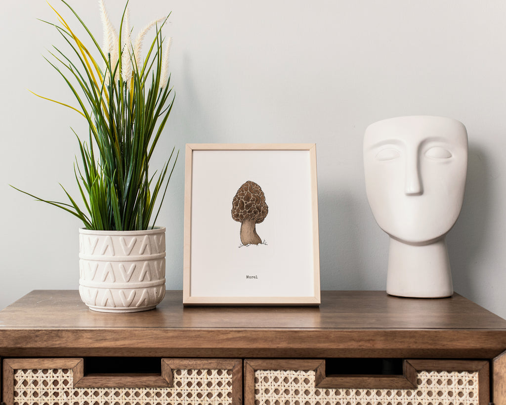 "Morel Mushroom" by Catherine Hébert - Morel Mushroom - Botanical Art Print