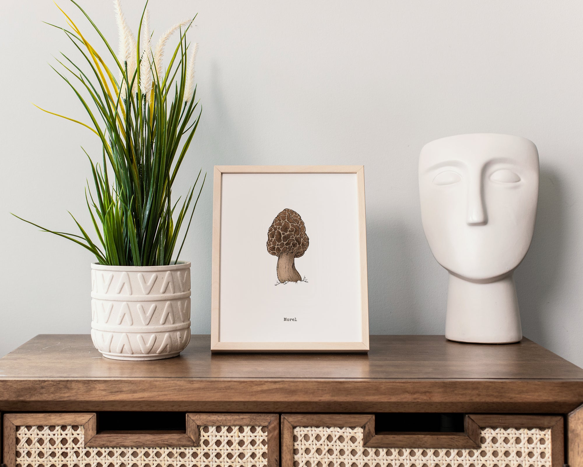 "Morel Mushroom" by Catherine Hébert - Morel Mushroom - Botanical Art Print