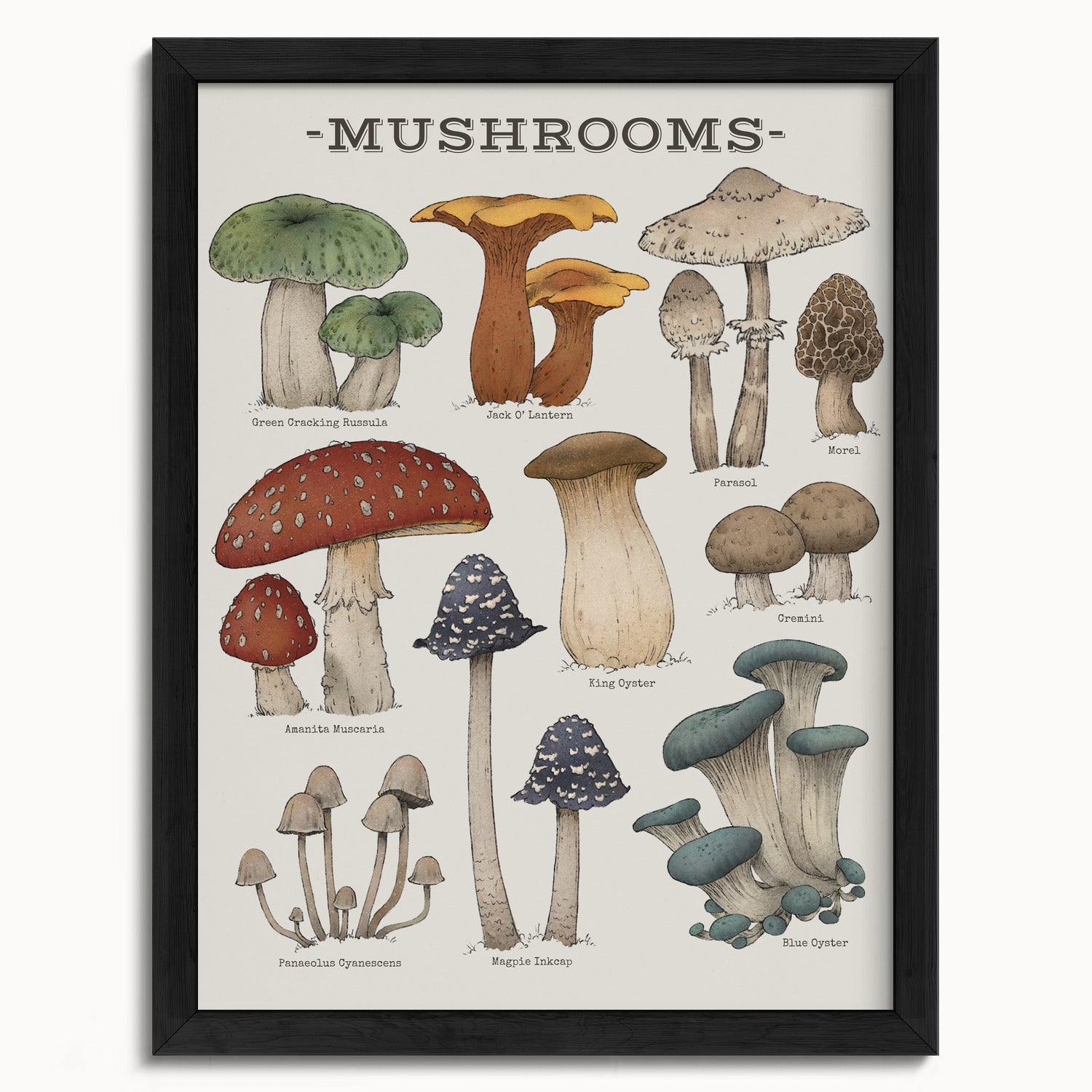 "Woodland Mushrooms" by Catherine Hébert - Woodland Mushroom Chart Botanical Art Print - 12"x16" size