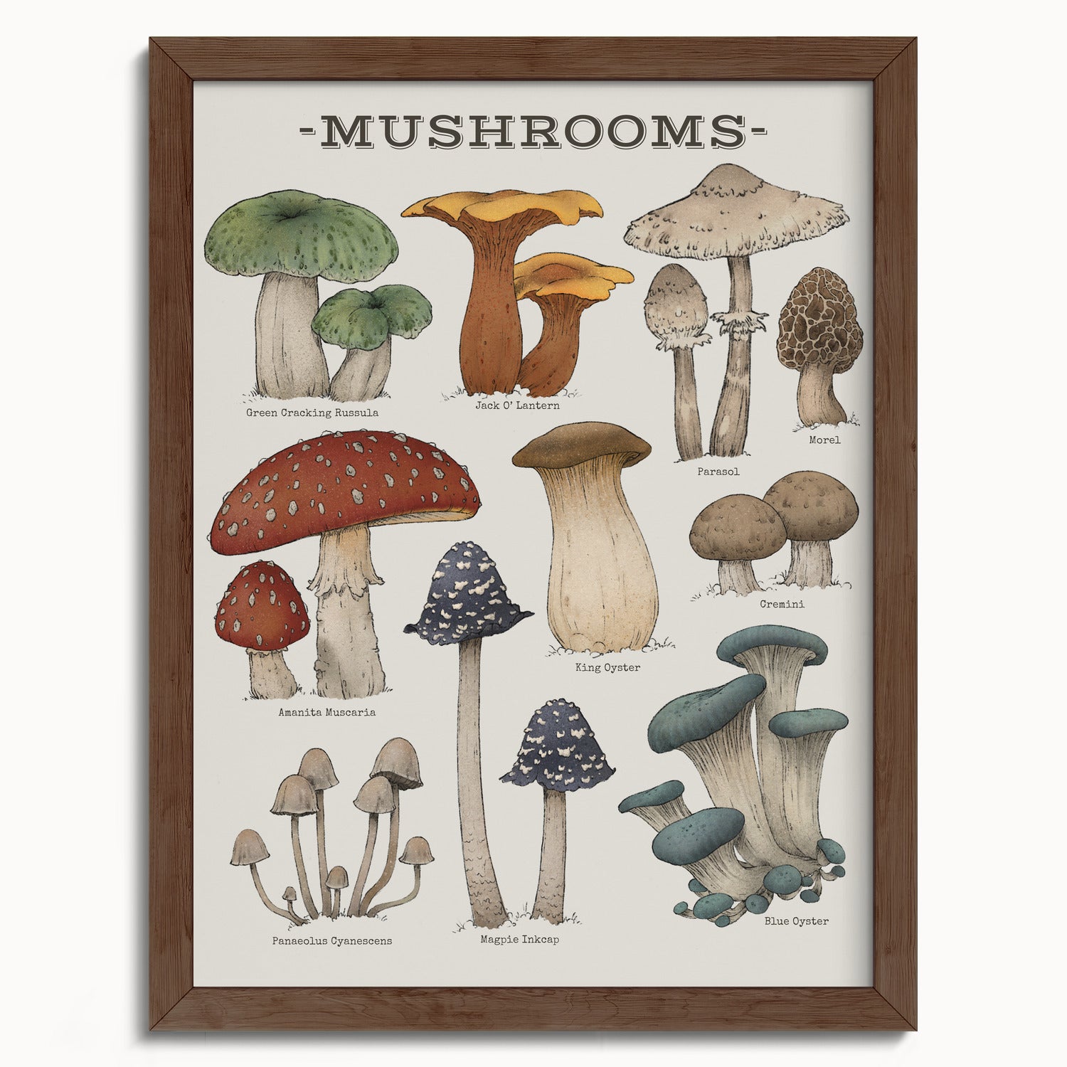 "Woodland Mushrooms" by Catherine Hébert - Woodland Mushroom Chart Botanical Art Print - 12"x16" size