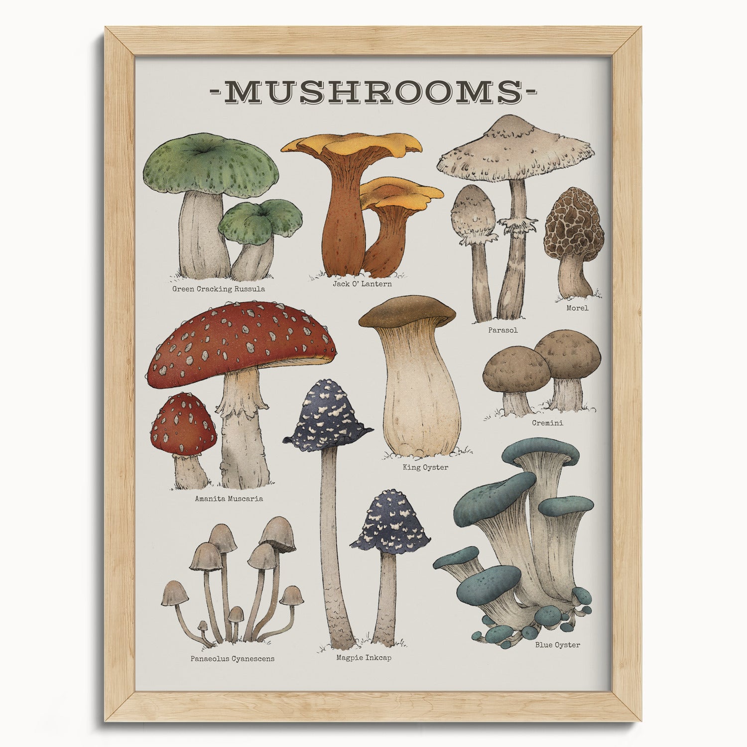 "Woodland Mushrooms" by Catherine Hébert - Woodland Mushroom Chart Botanical Art Print - 12"x16" size