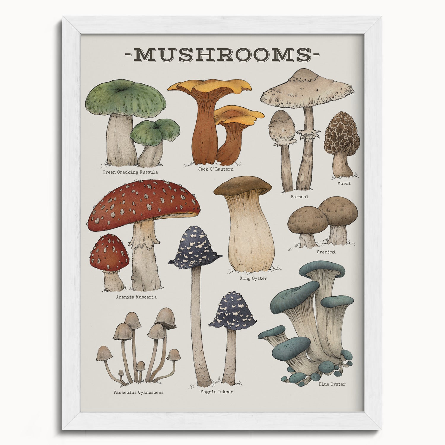 "Woodland Mushrooms" by Catherine Hébert - Woodland Mushroom Chart Botanical Art Print - 12"x16" size