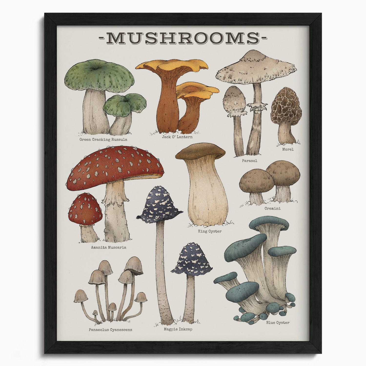 "Woodland Mushrooms" by Catherine Hébert - Woodland Mushroom Chart - Botanical Art Print - 16"x20" size