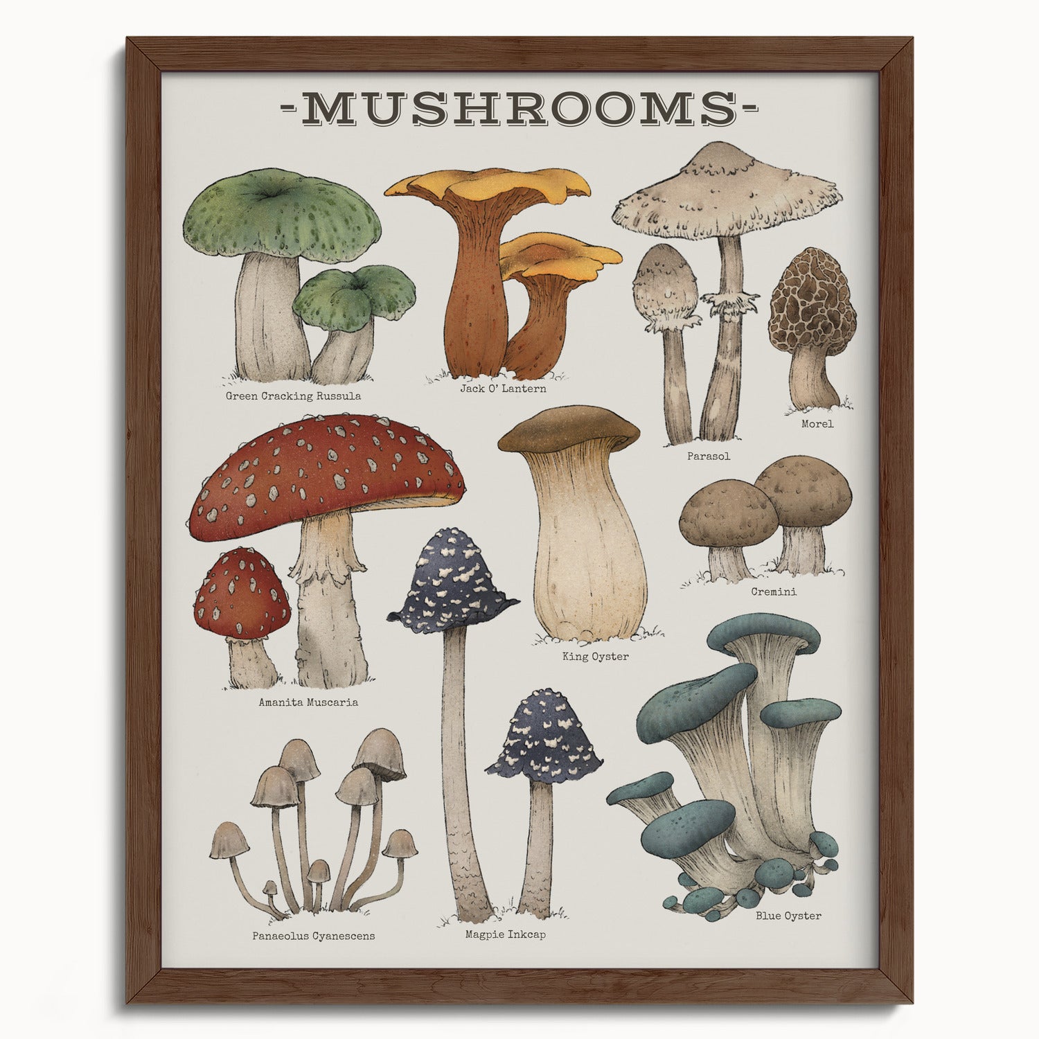 "Woodland Mushrooms" by Catherine Hébert - Woodland Mushroom Chart Botanical Art Print - 16"x20" size