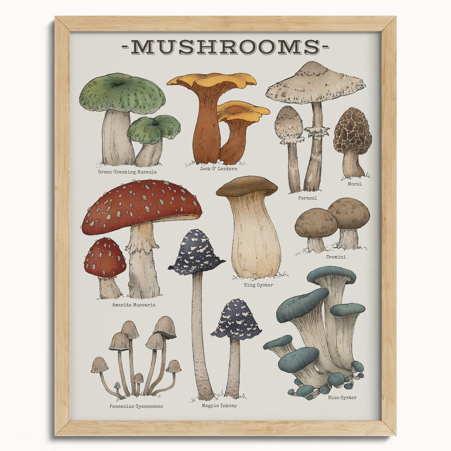 "Woodland Mushrooms" by Catherine Hébert - Woodland Mushroom Chart Botanical Art Print - 16"x20" size
