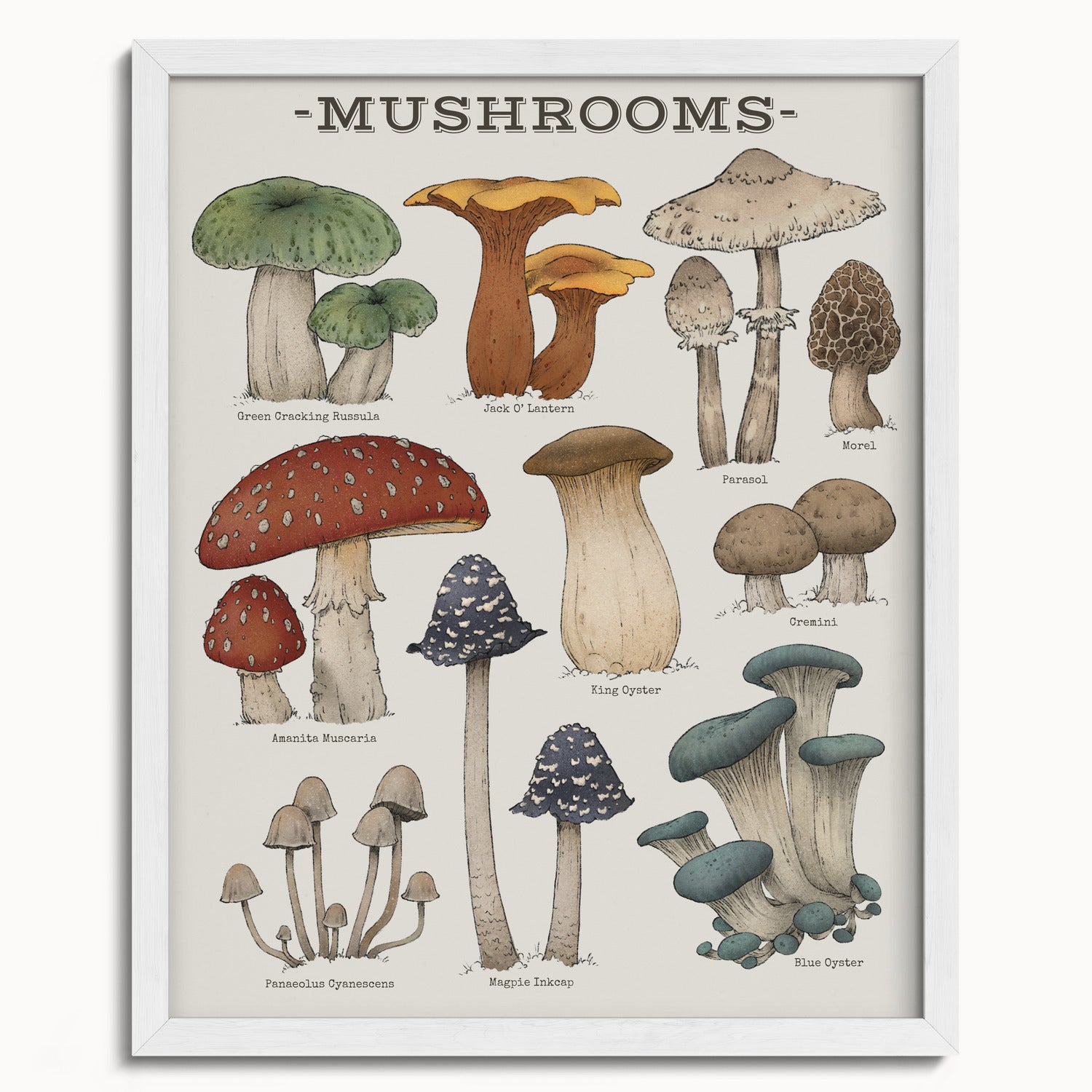"Woodland Mushrooms" by Catherine Hébert - Woodland Mushroom Chart Botanical Art Print - 16"x20" size