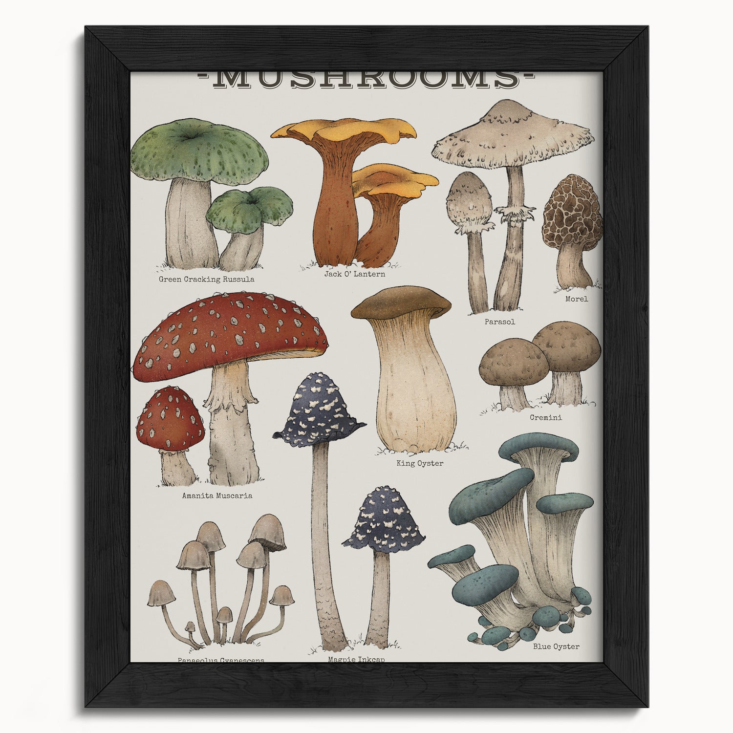 "Woodland Mushrooms" by Catherine Hébert - Woodland Mushroom Chart - Botanical Art Print - 8"x10" size