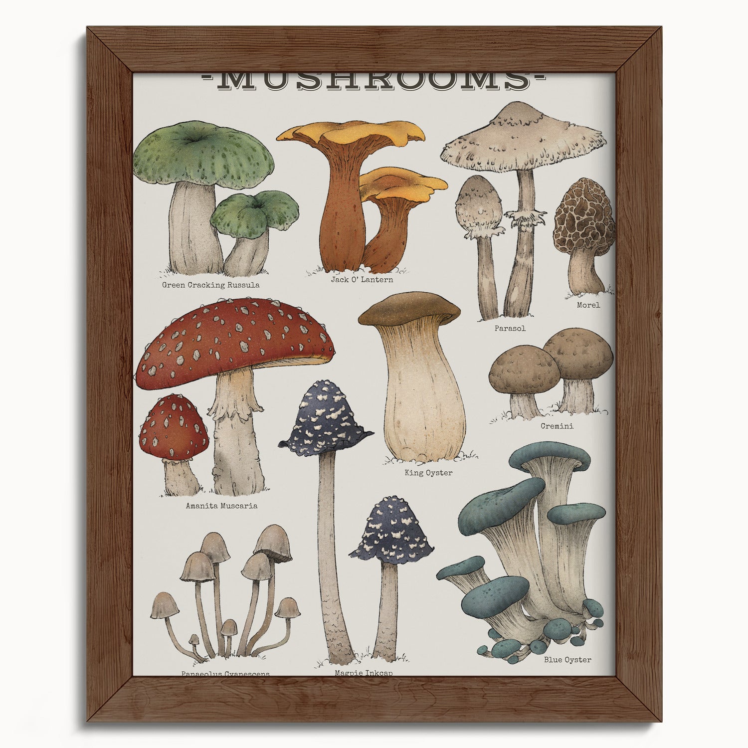 "Woodland Mushrooms" by Catherine Hébert - Woodland Mushroom Chart Botanical Art Print - 8"x10" size