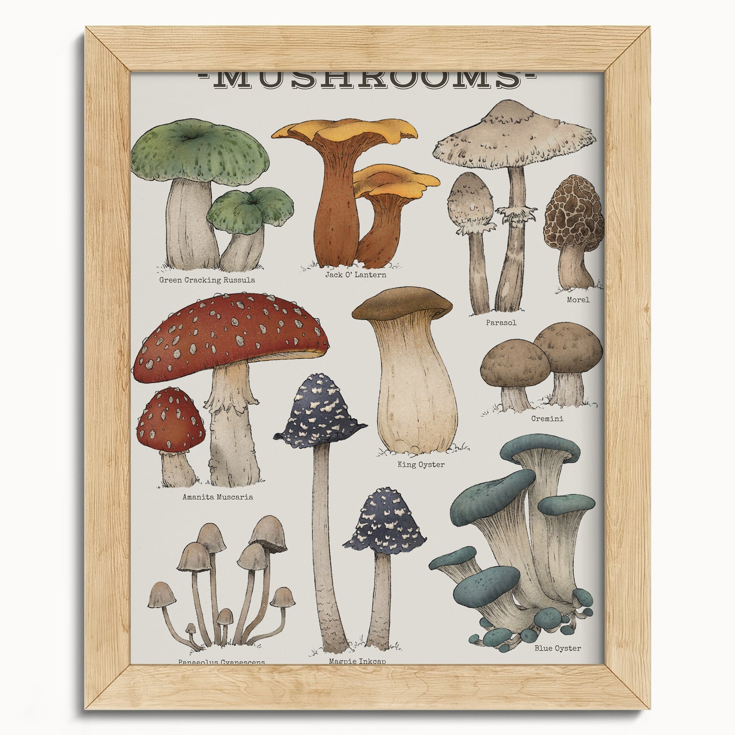 "Woodland Mushrooms" by Catherine Hébert - Woodland Mushroom Chart Botanical Art Print - 8"x10" size