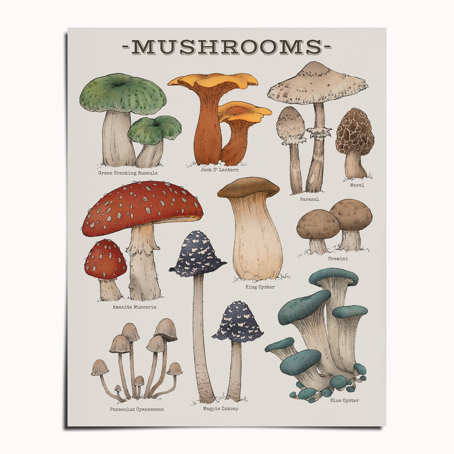 "Woodland Mushrooms" by Catherine Hébert - Woodland Mushroom Chart - Botanical Art Print - 8"x10" size