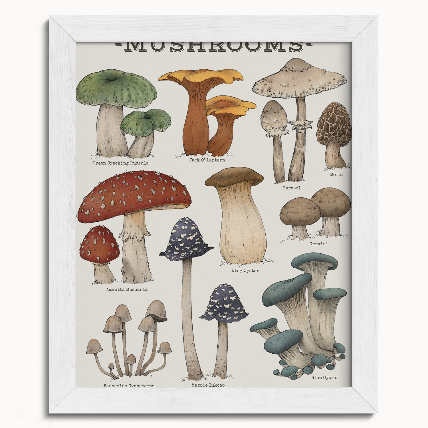 "Woodland Mushrooms" by Catherine Hébert - Woodland Mushroom Chart Botanical Art Print - 8"x10" size