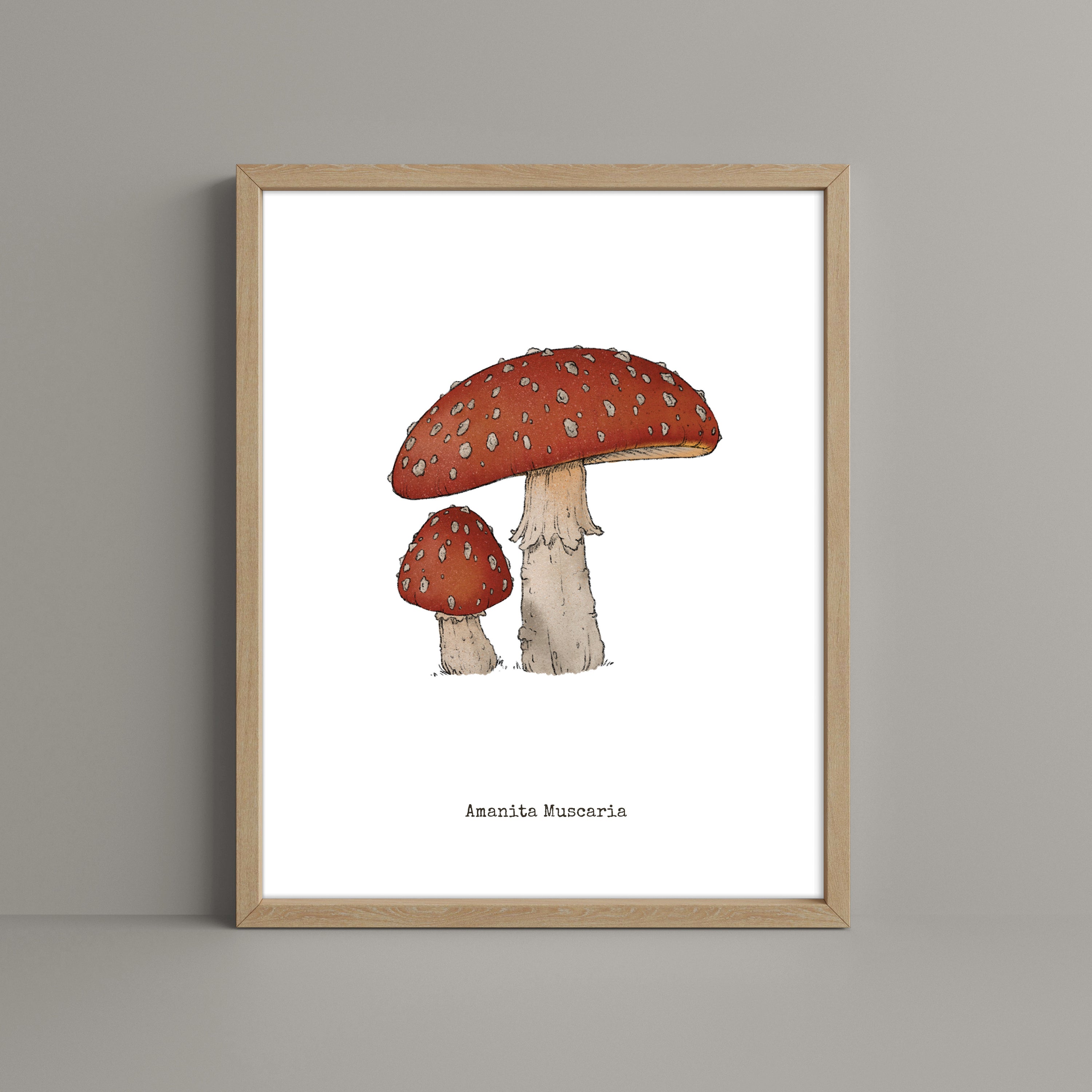 "Amanita Muscaria" by Catherine Hébert - Amanita Muscaria Mushroom Art Print