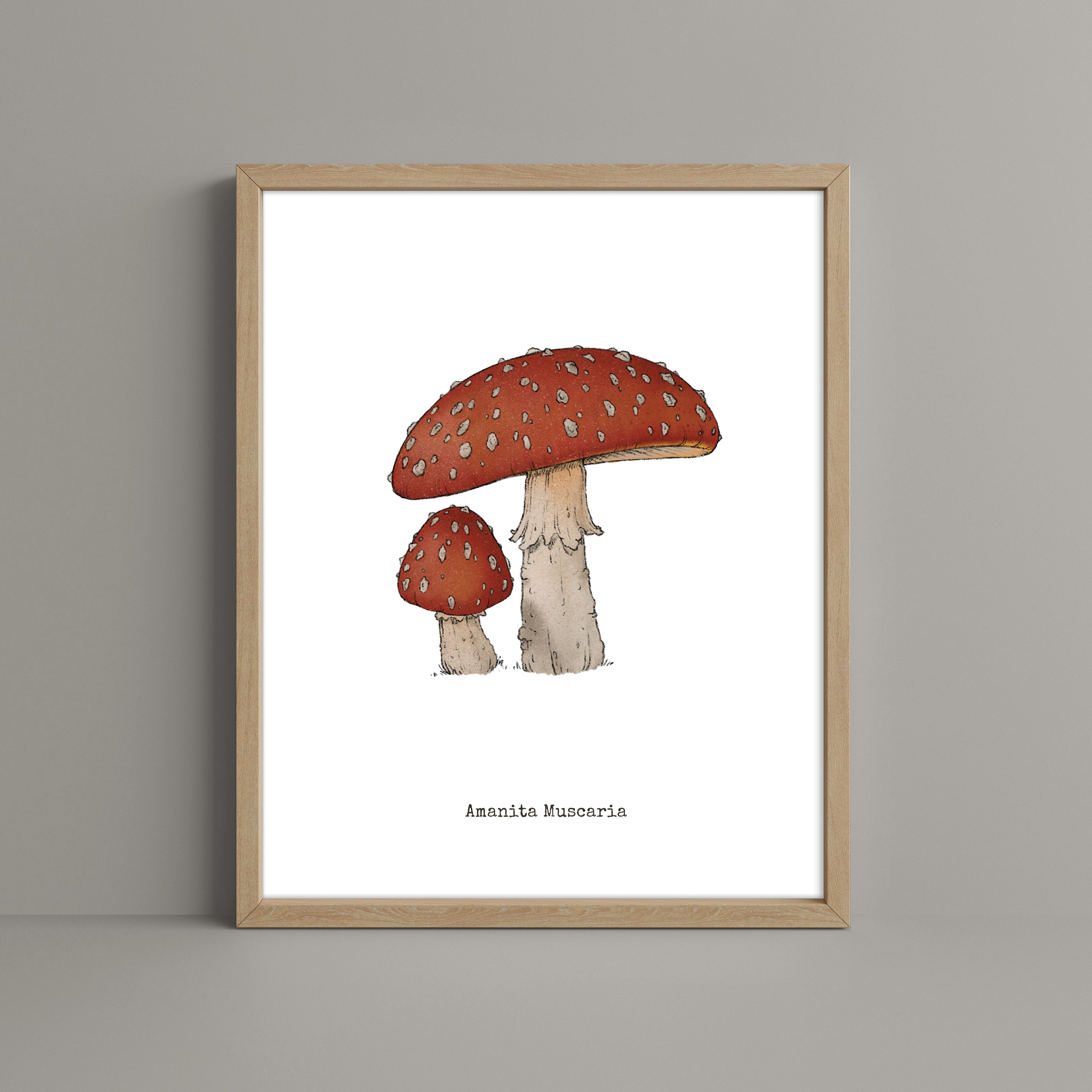 "Amanita Muscaria" by Catherine Hébert - Amanita Muscaria Mushroom  - Botanical Art Print – Floral, Nature Wall Art – Living Room, Kitchen Decor