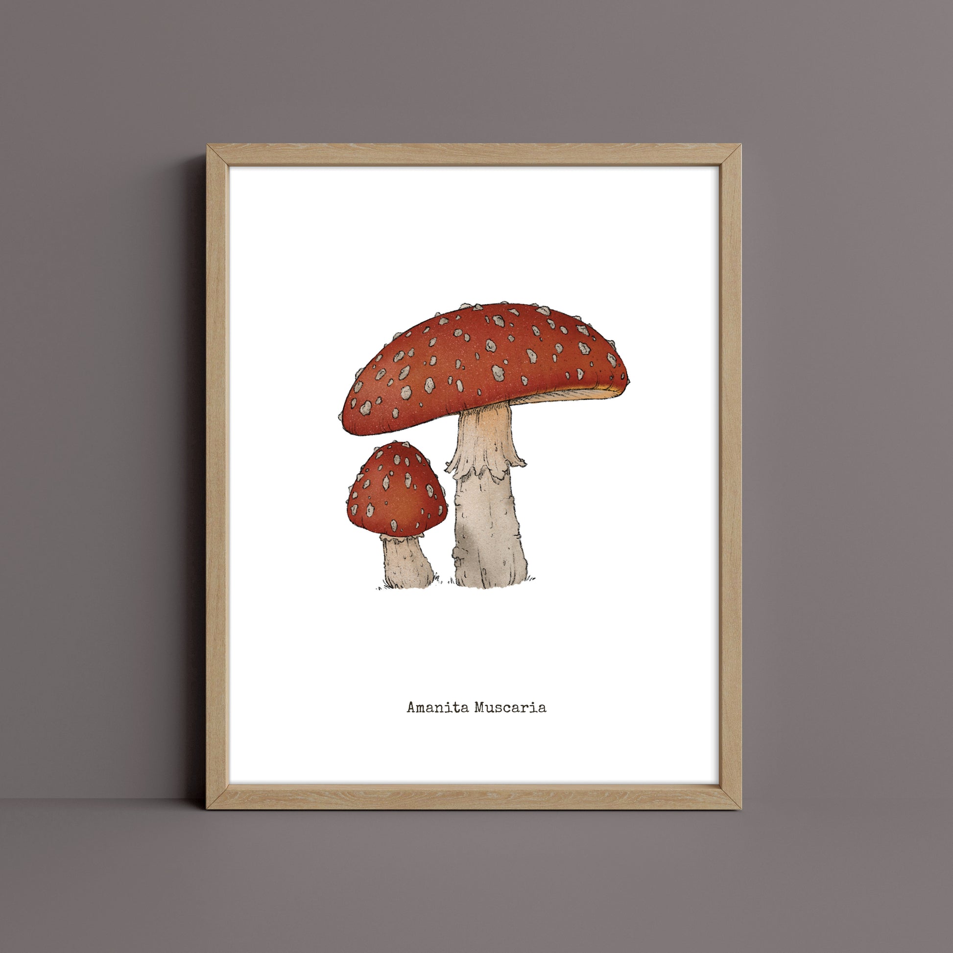 "Mushroom Set 2" by Catherine Hébert - Bundle of Three Mushroom Prints