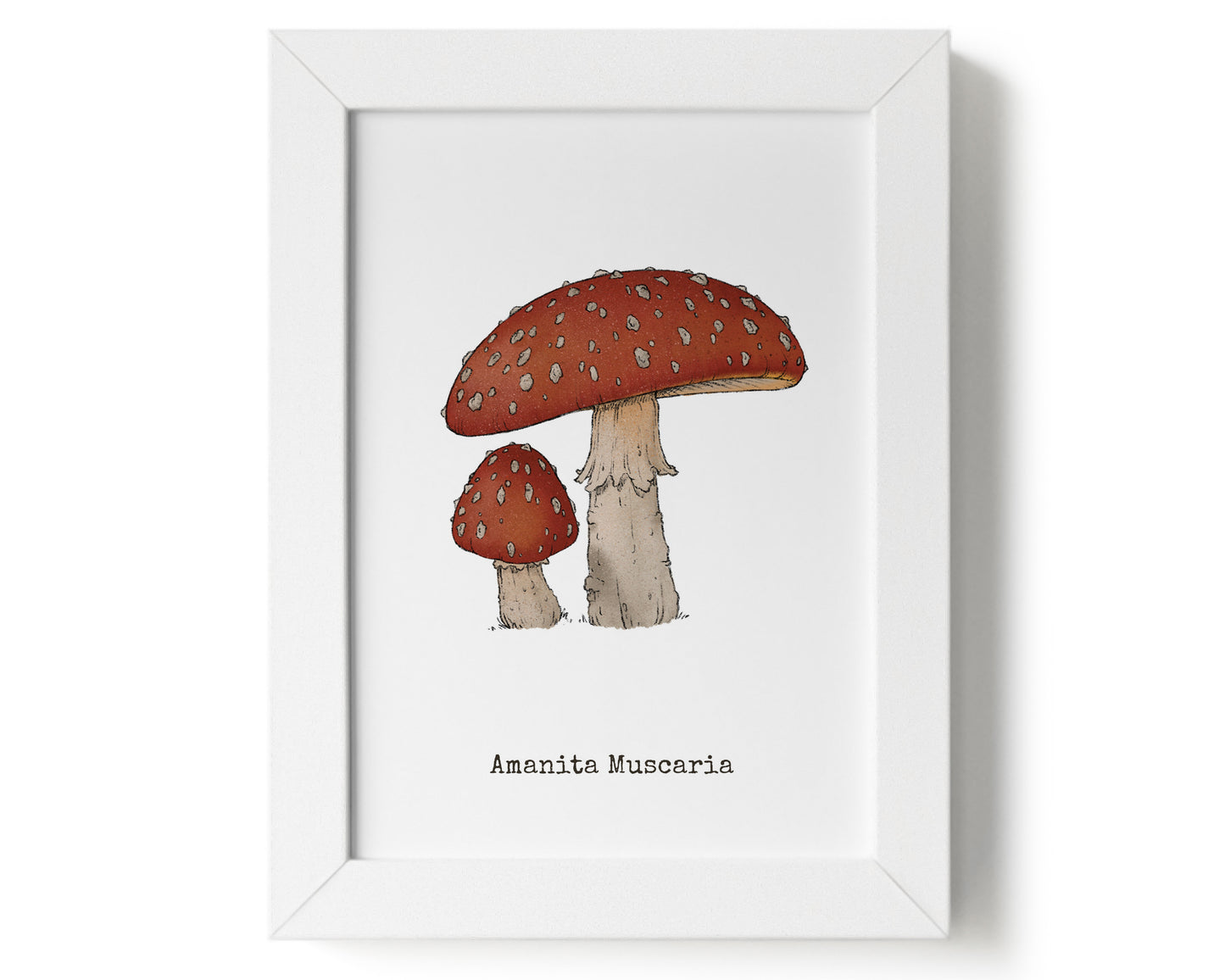"Amanita Muscaria" by Catherine Hébert - Amanita Muscaria Mushroom Art Print - 5"x7" size