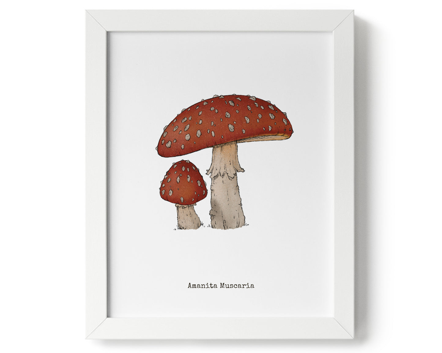 "Amanita Muscaria" by Catherine Hébert - Amanita Muscaria Mushroom Art Print - 8"x10" size