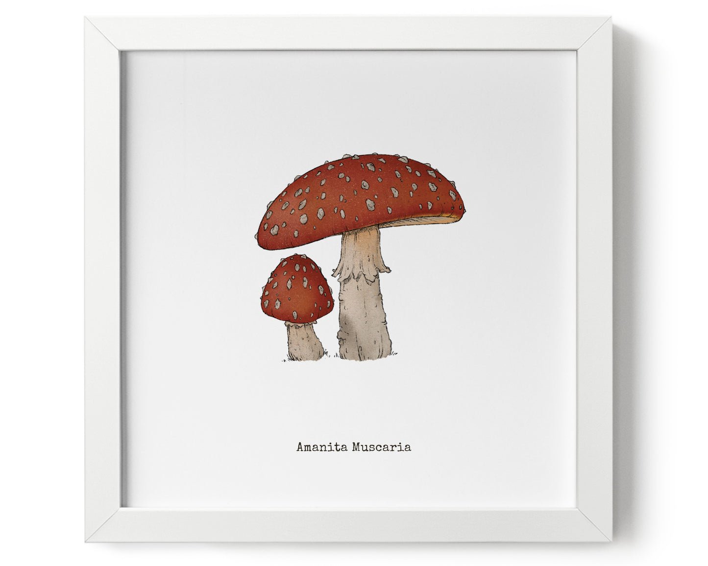 "Amanita Muscaria" by Catherine Hébert - Amanita Muscaria Mushroom Art Print - 9"x9" size