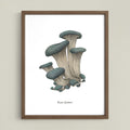 Blue Oyster Mushroom