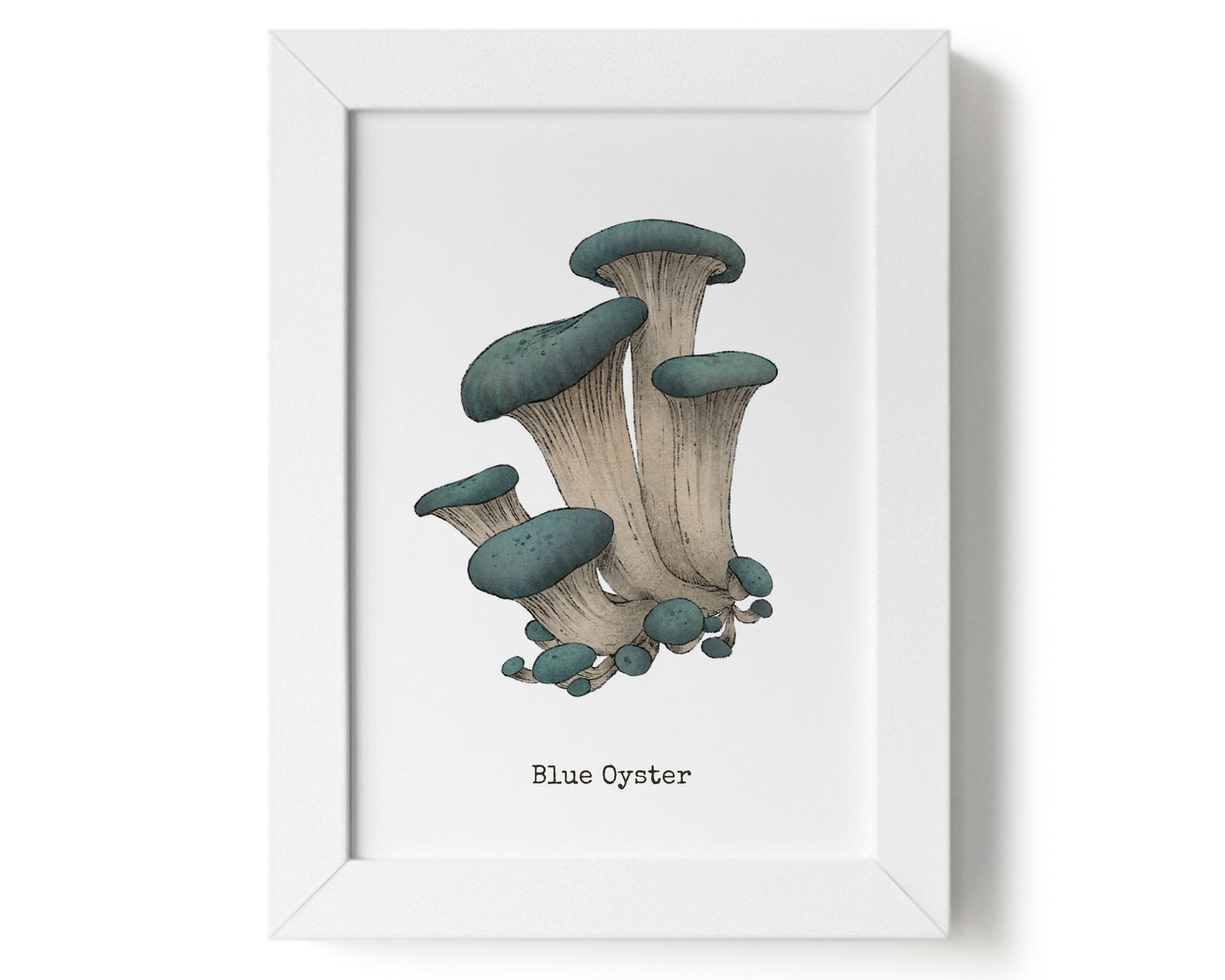 "Blue Oyster" by Catherine Hébert - Blue Oyster Mushroom Art Print - 5"x7" size