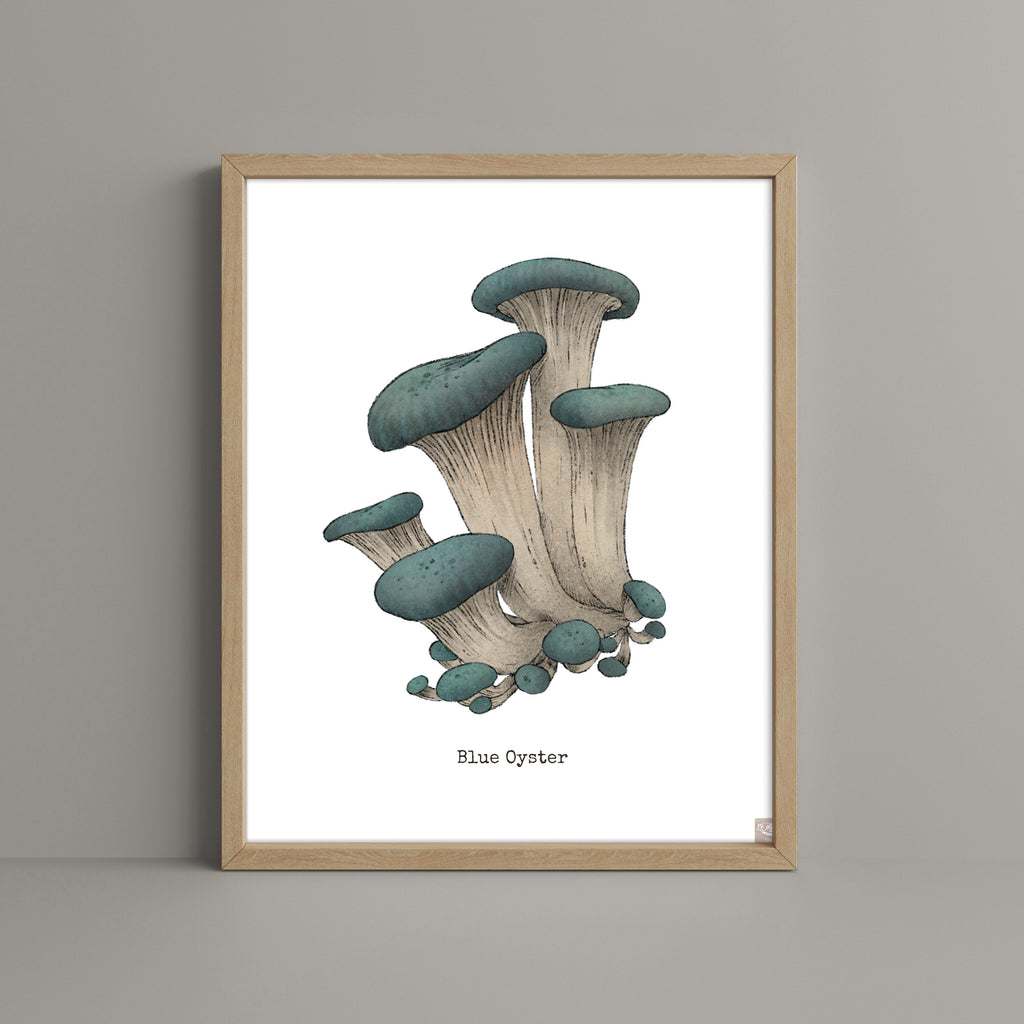 "Blue Oyster Mushroom" by Catherine Hébert - Blue Oyster Mushroom  - Botanical Art Print