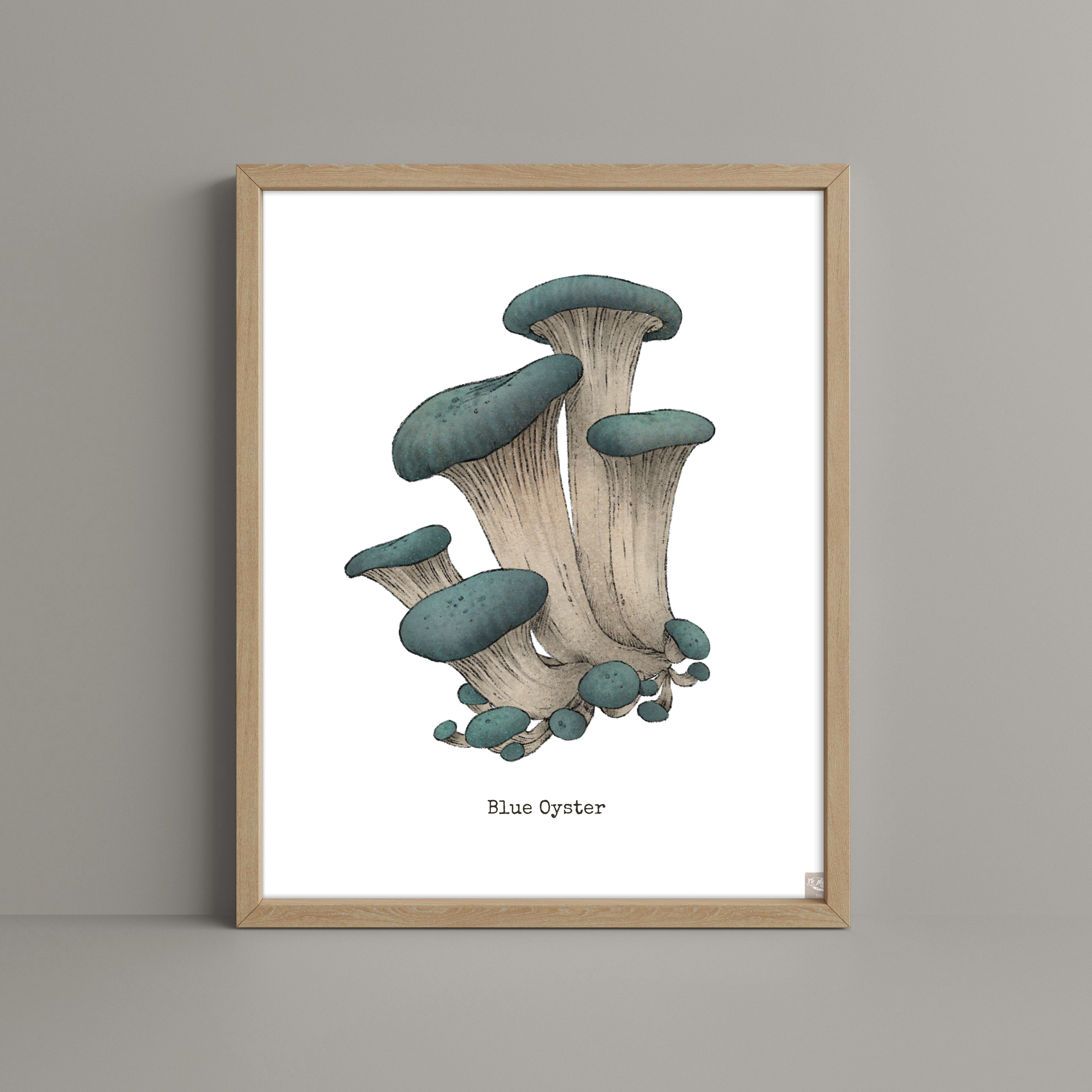 "Blue Oyster Mushroom" by Catherine Hébert - Blue Oyster Mushroom  - Botanical Art Print – Floral, Nature Wall Art – Living Room, Kitchen Decor