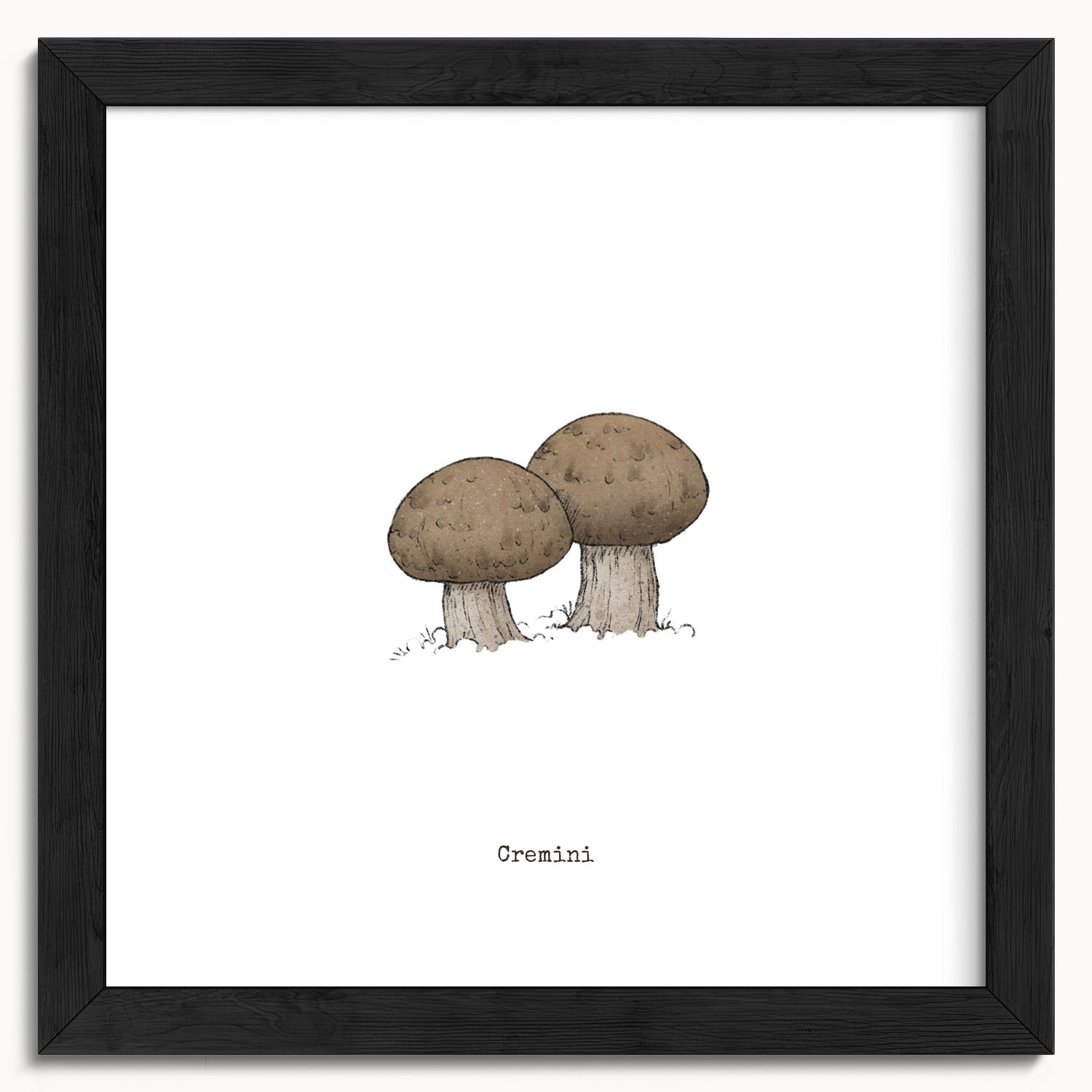 "Cremini" by Catherine Hébert - Cremini Mushroom  - Botanical Art Print - 10"x10" size