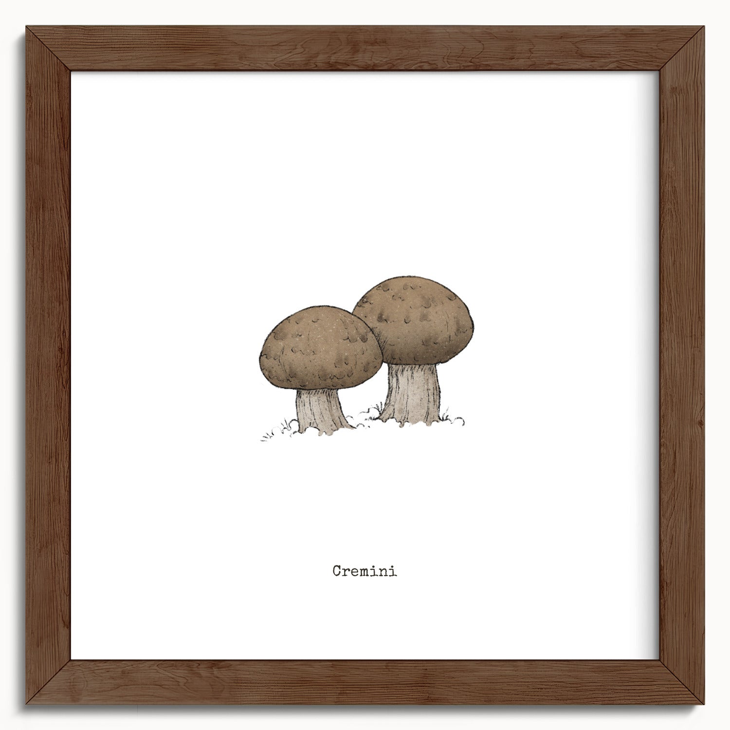 "Cremini" by Catherine Hébert - Cremini Mushroom  - Botanical Art Print - 10"x10" size