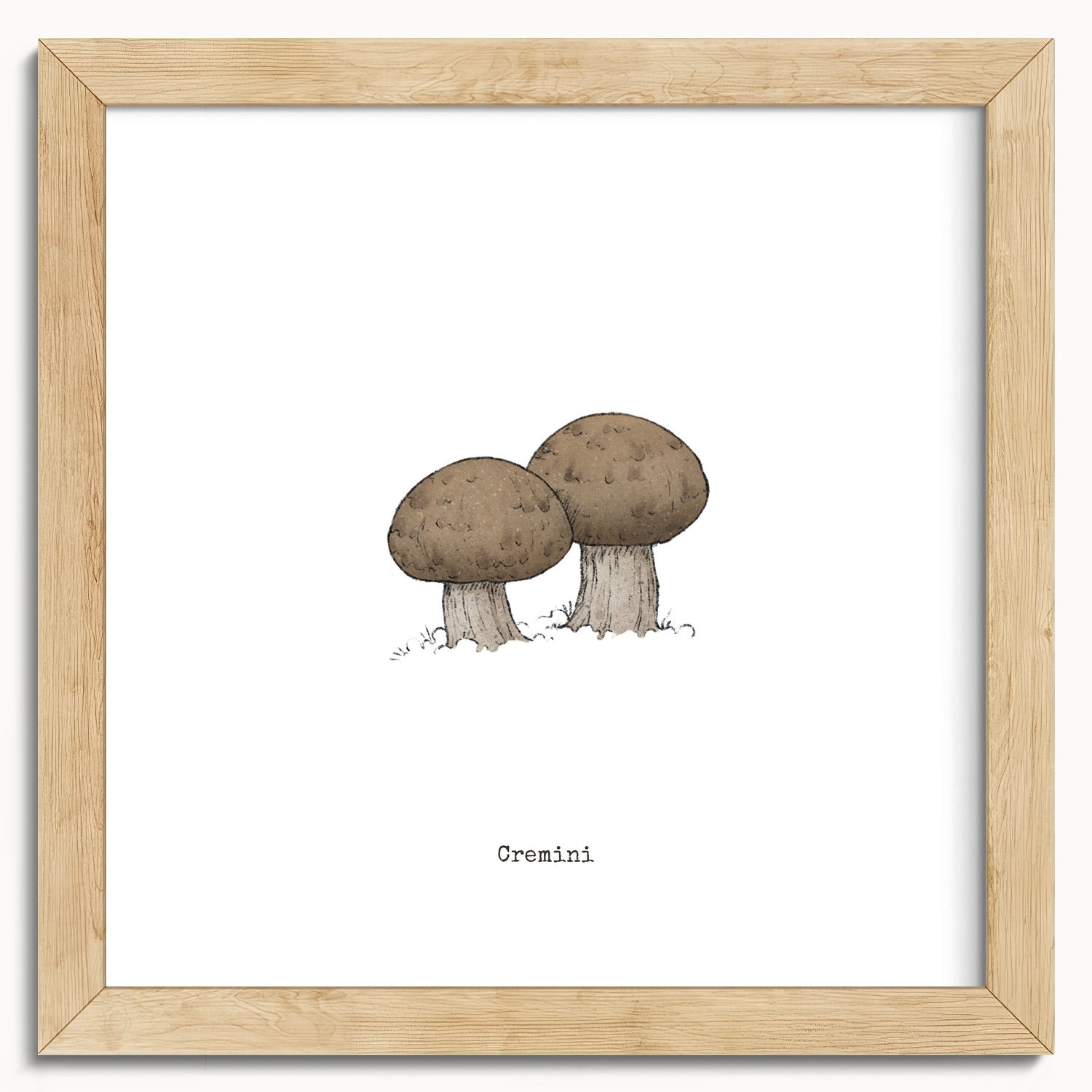 "Cremini" by Catherine Hébert - Cremini Mushroom  - Botanical Art Print - 10"x10" size