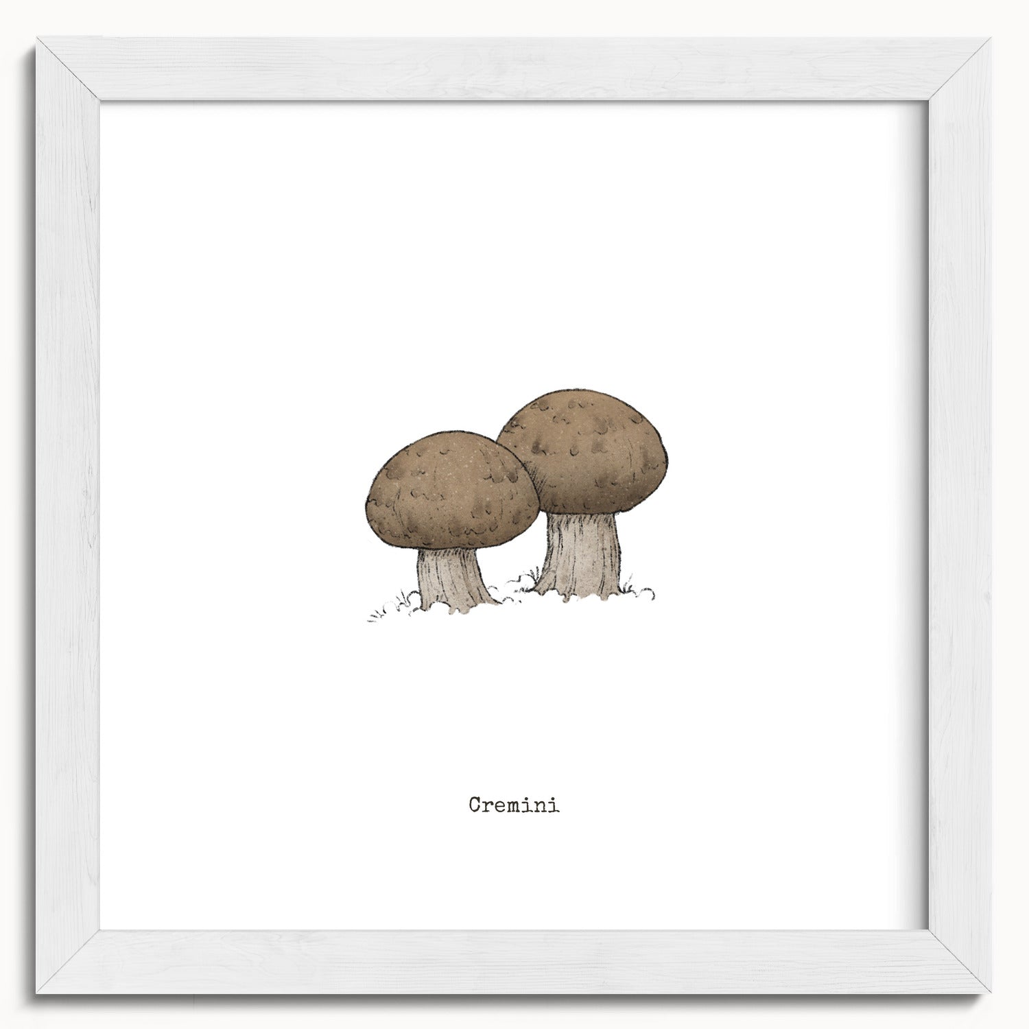 "Cremini" by Catherine Hébert - Cremini Mushroom  - Botanical Art Print - 10"x10" size