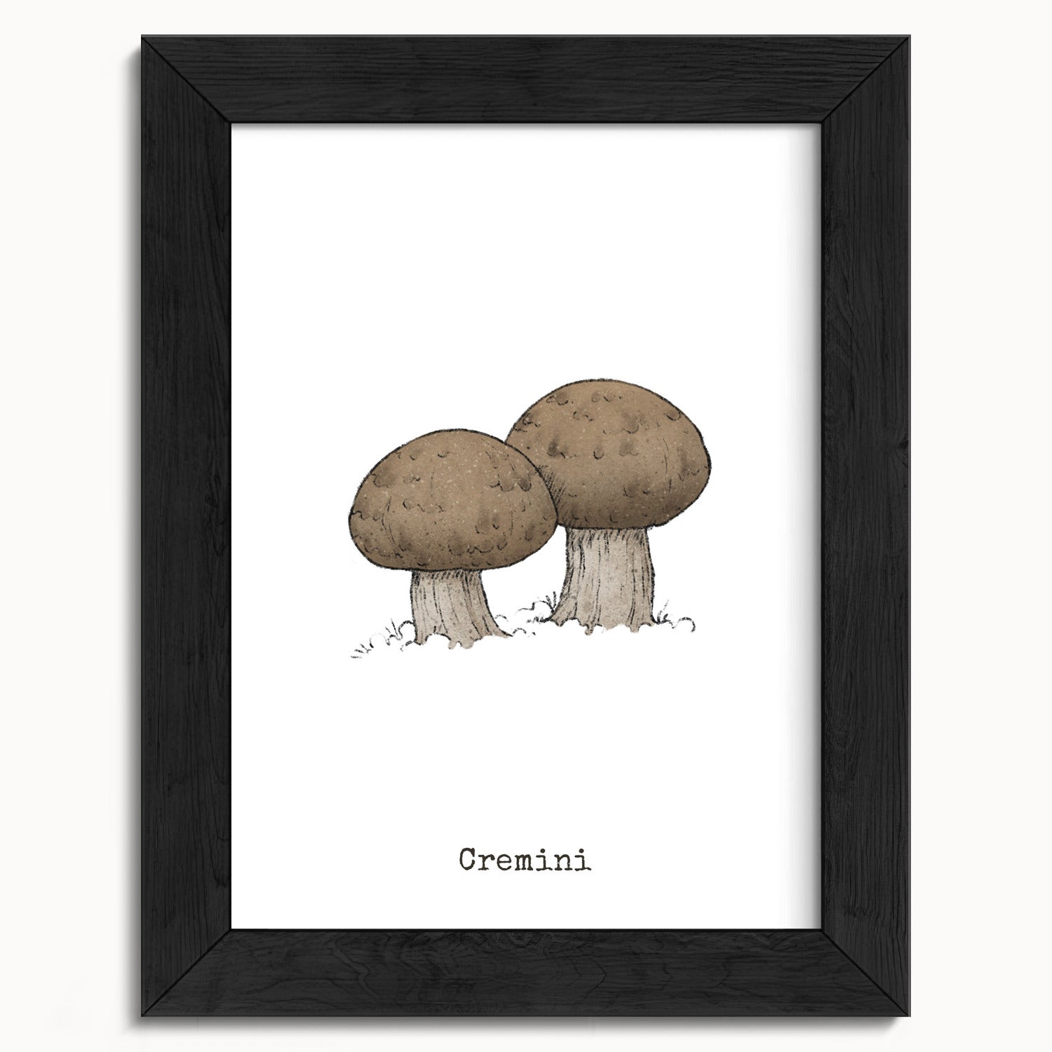 "Cremini" by Catherine Hébert - Cremini Mushroom  - Botanical Art Print - 5"x7" size