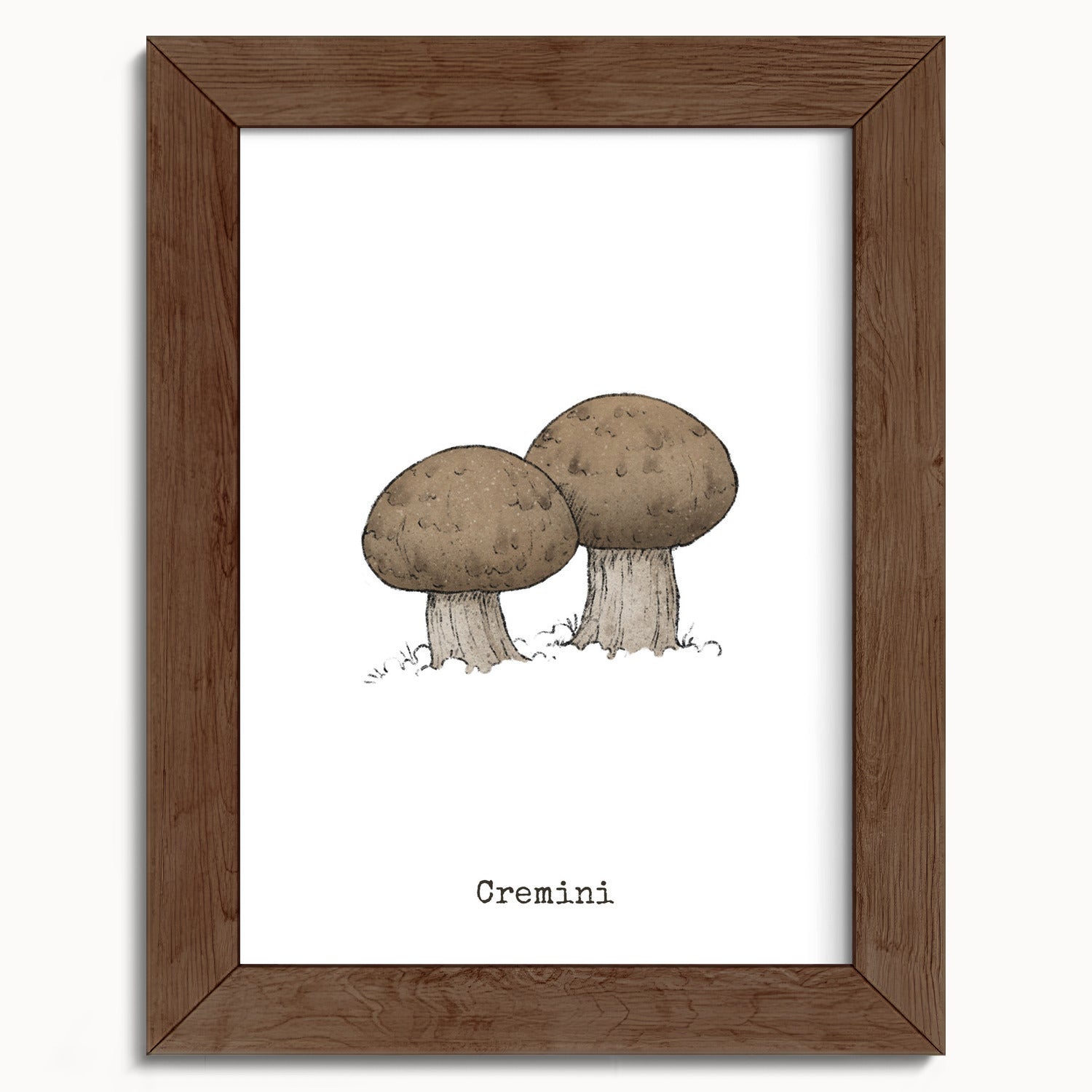 "Cremini" by Catherine Hébert - Cremini Mushroom  - Botanical Art Print - 5"x7" size