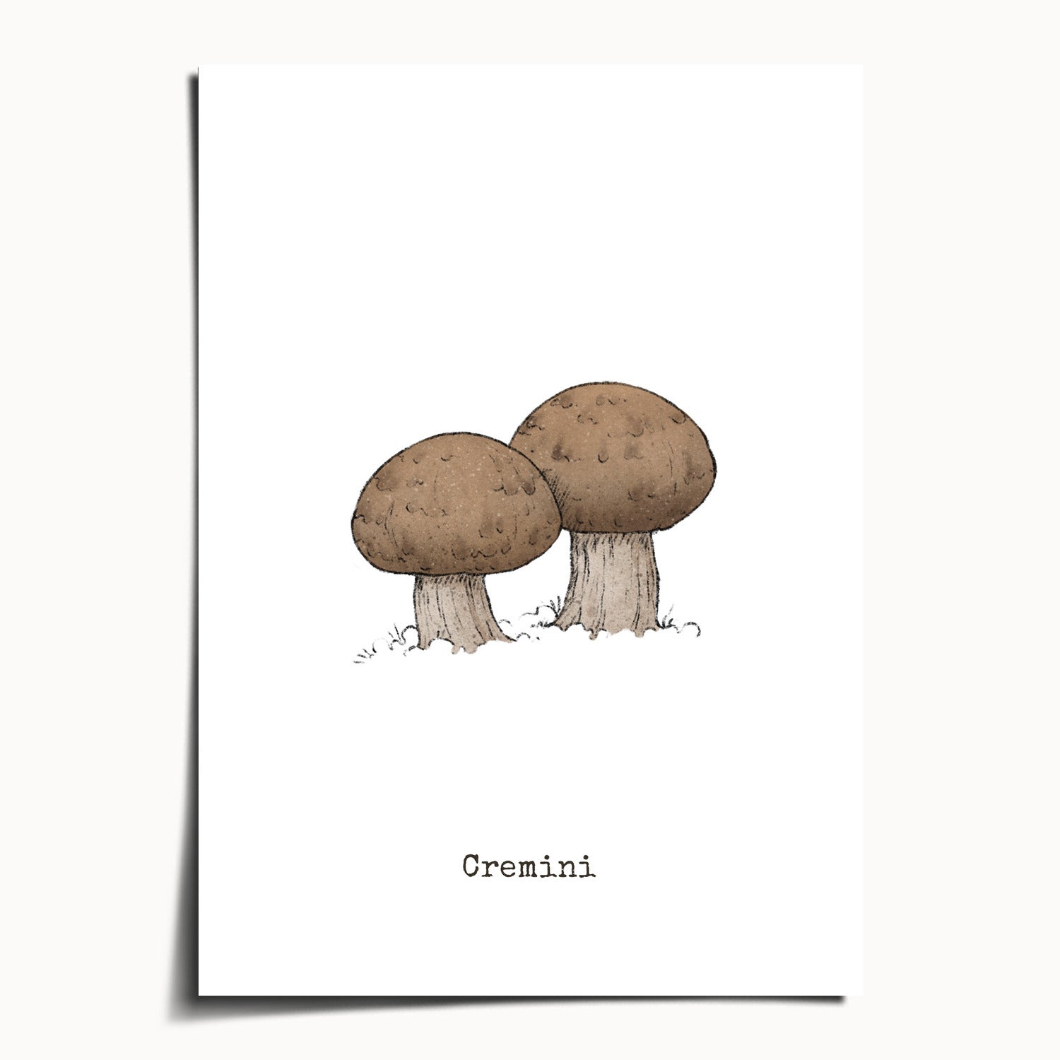 "Cremini" by Catherine Hébert - Cremini Mushroom  - Botanical Art Print - 5"x7" size