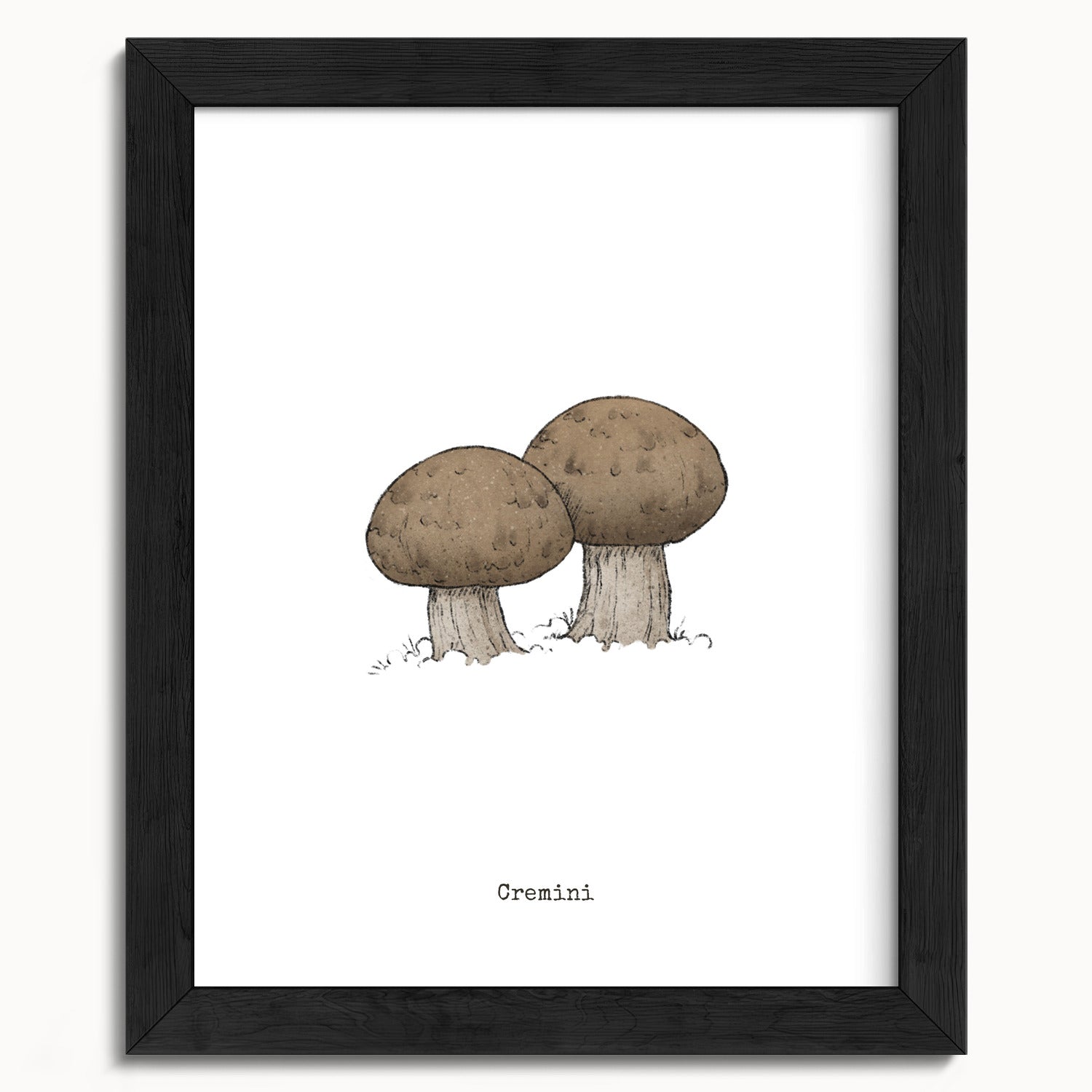 "Cremini" by Catherine Hébert - Cremini Mushroom  - Botanical Art Print - 8"x10" size