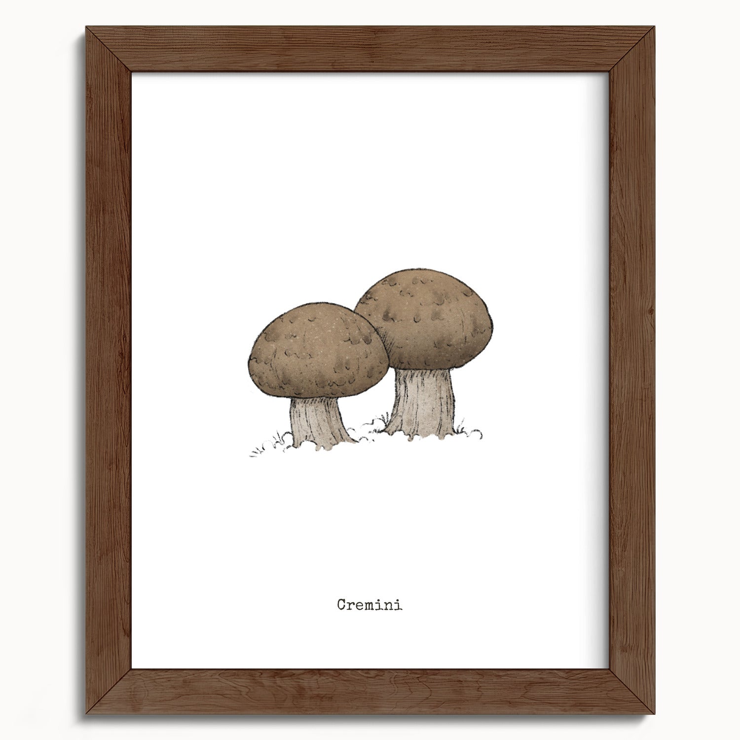 "Cremini" by Catherine Hébert - Cremini Mushroom  - Botanical Art Print - 8"x10" size