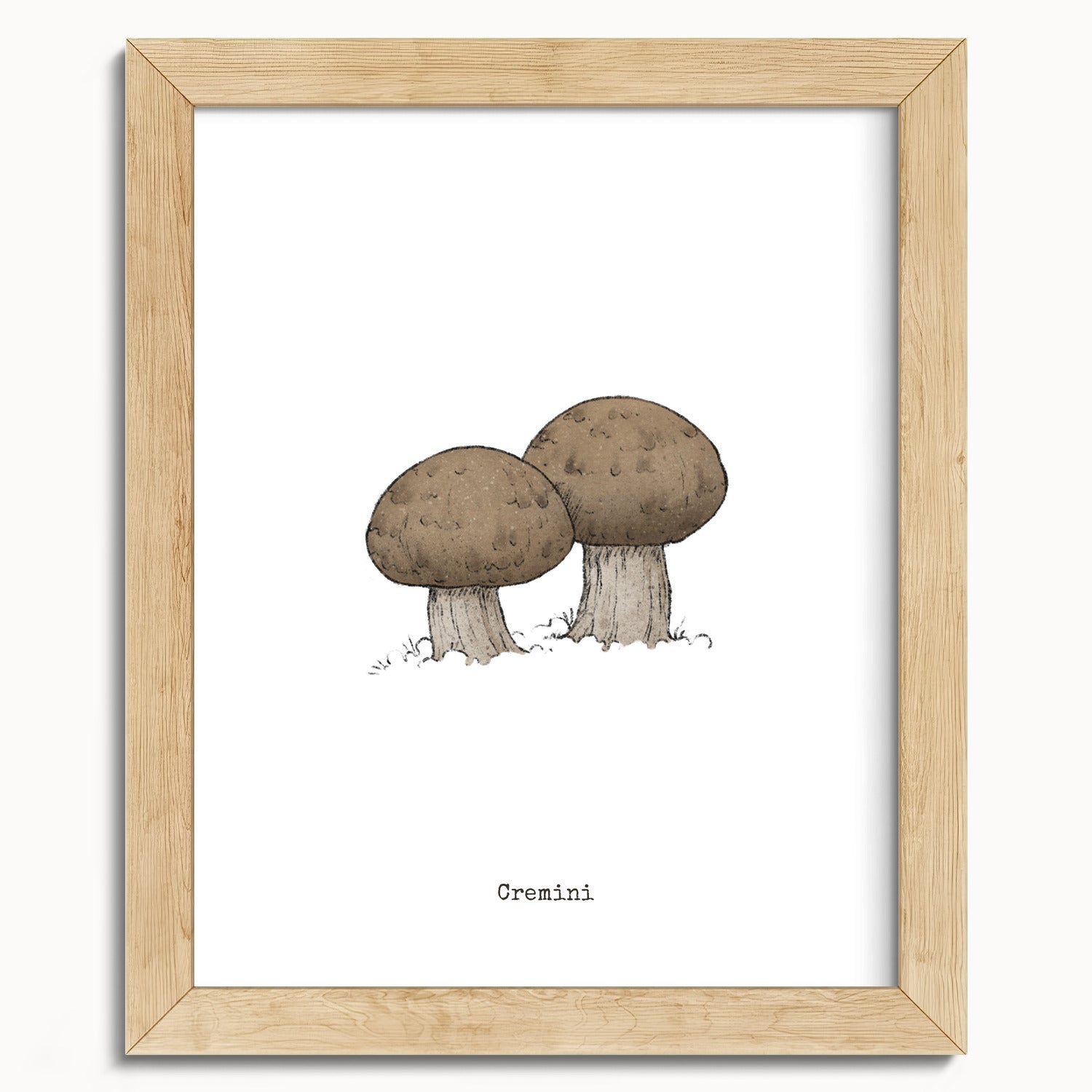"Cremini" by Catherine Hébert - Cremini Mushroom  - Botanical Art Print - 8"x10" size