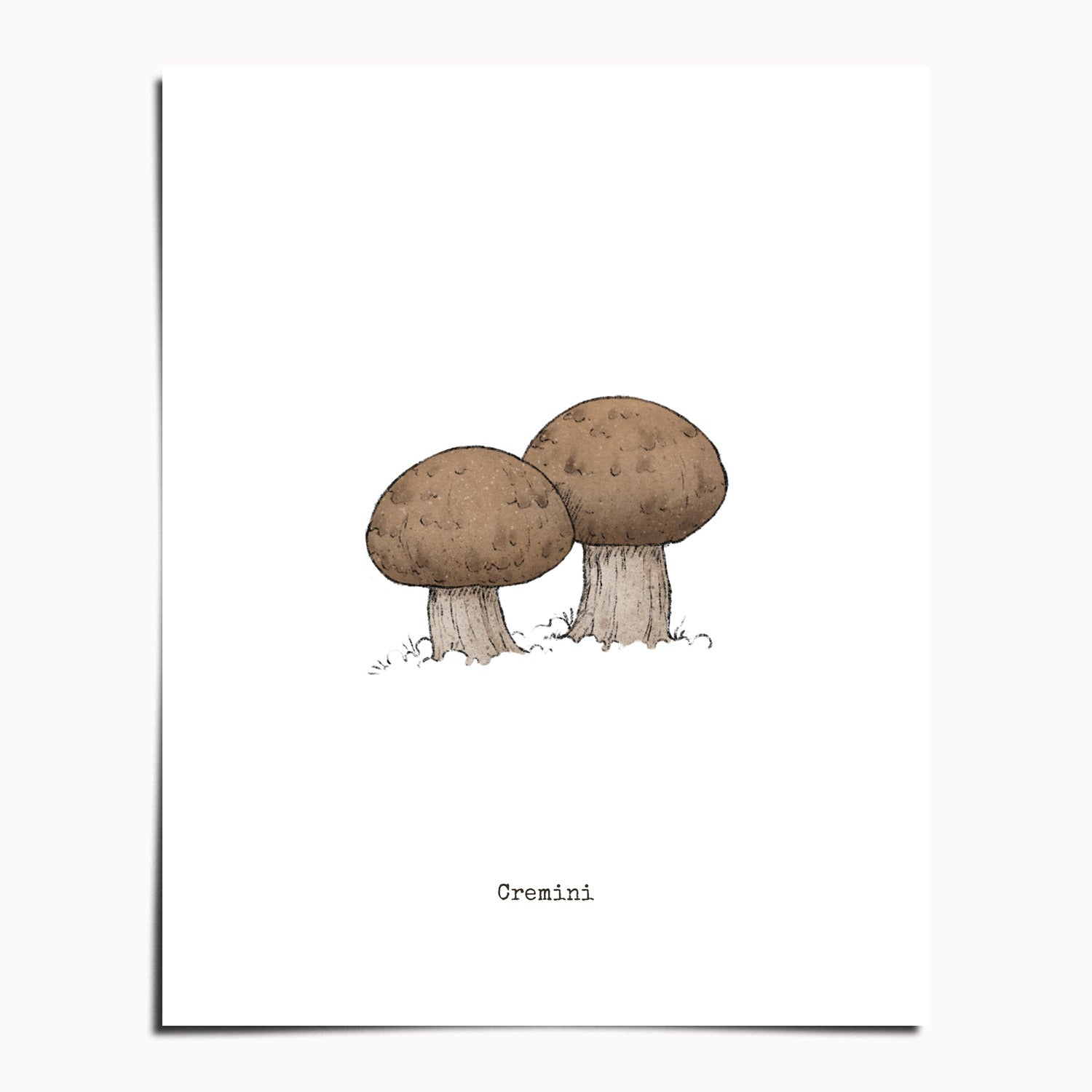 "Cremini" by Catherine Hébert - Cremini Mushroom  - Botanical Art Print - 8"x10" size