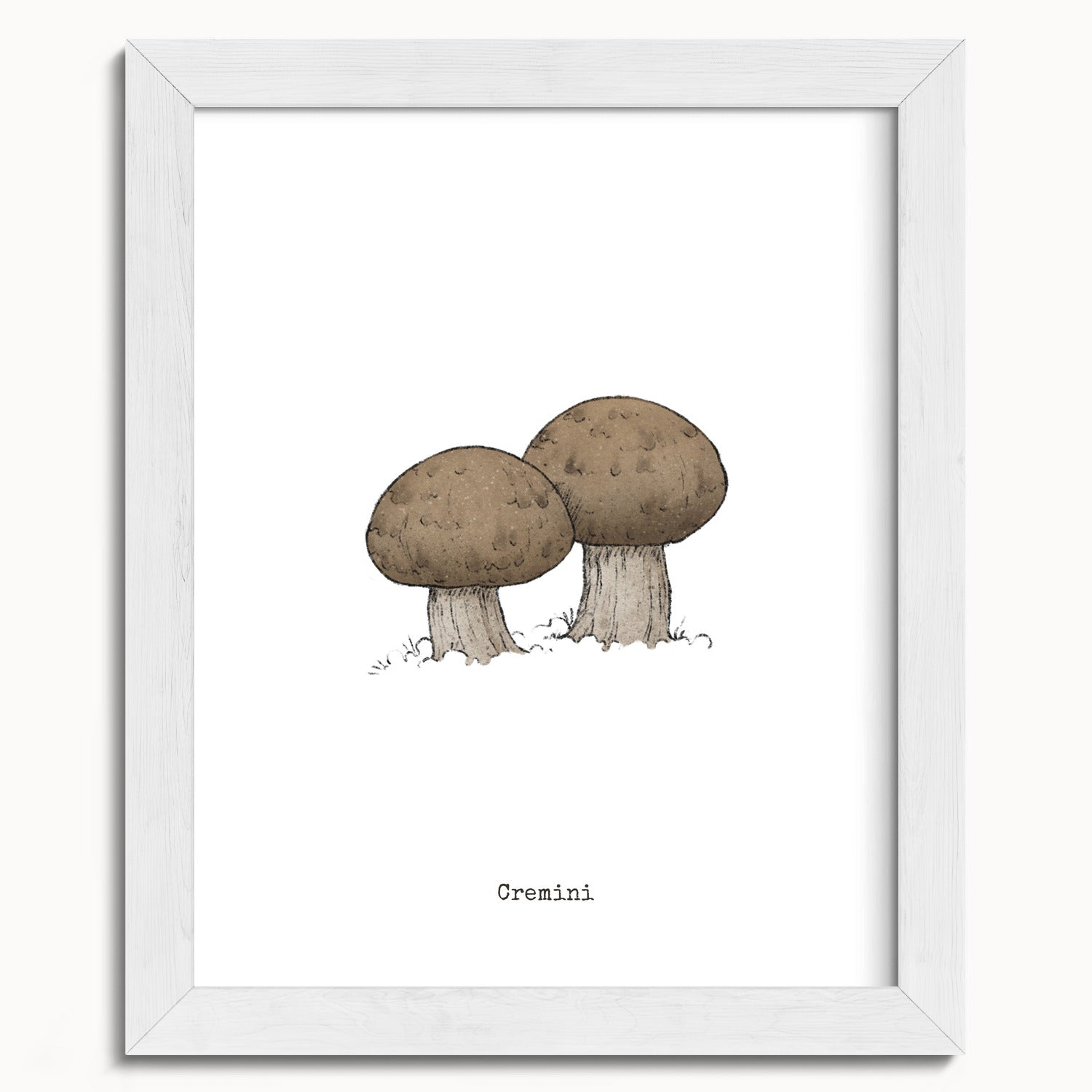 "Cremini" by Catherine Hébert - Cremini Mushroom  - Botanical Art Print - 8"x10" size
