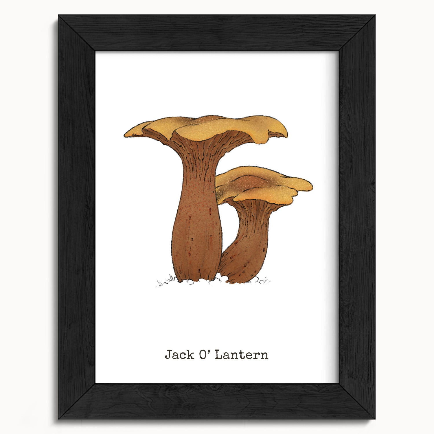 "Jack O'Lantern" by Catherine Hébert - Jack O'Lantern Mushroom  - Botanical Art Print - 5"x7" size
