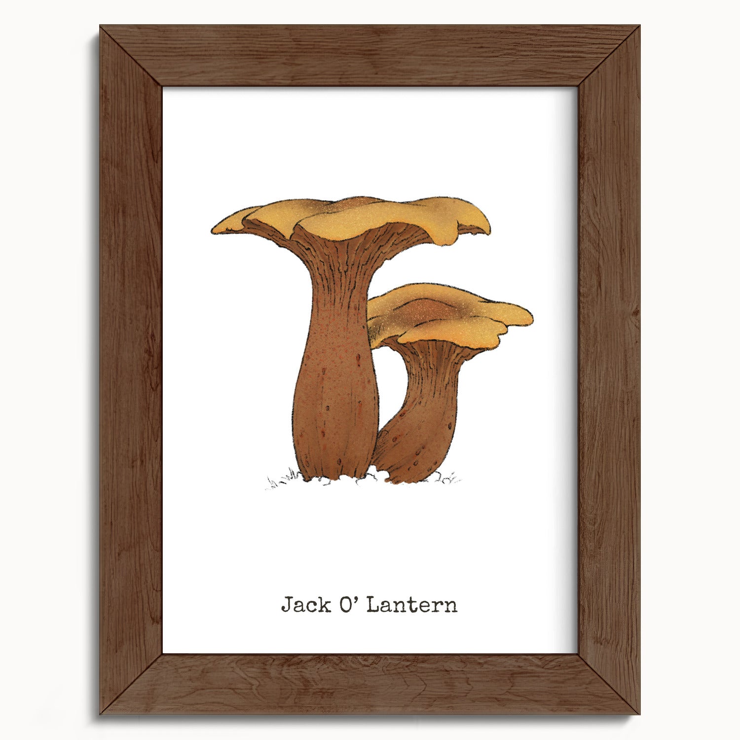 "Jack O'Lantern" by Catherine Hébert - Jack O'Lantern Mushroom  - Botanical Art Print - 5"x7" size