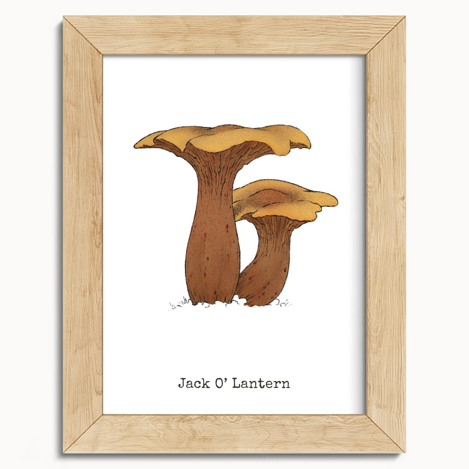 "Jack O'Lantern" by Catherine Hébert - Jack O'Lantern Mushroom  - Botanical Art Print - 5"x7" size
