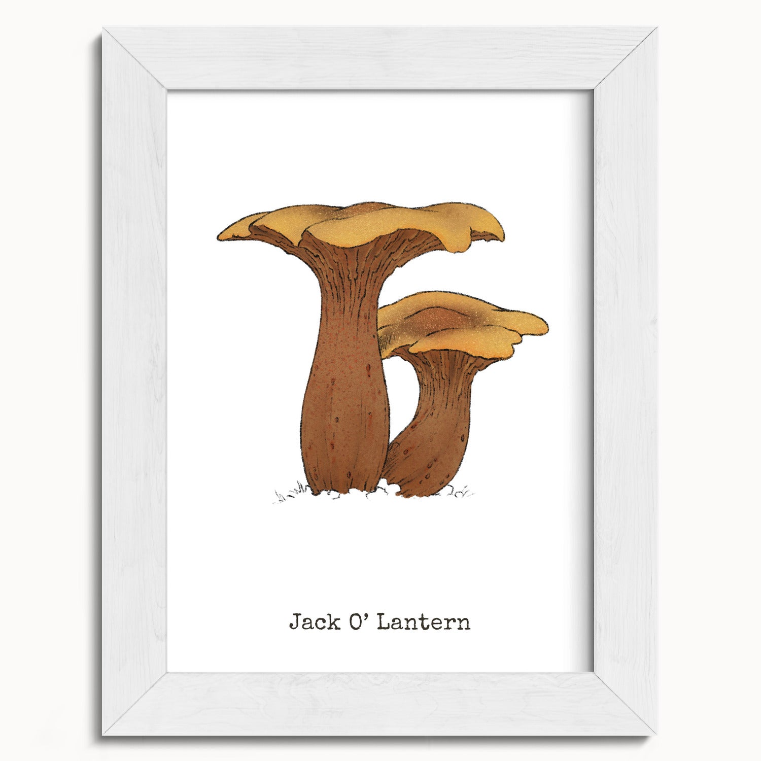 "Jack O'Lantern" by Catherine Hébert - Jack O'Lantern Mushroom  - Botanical Art Print - 5"x7" size